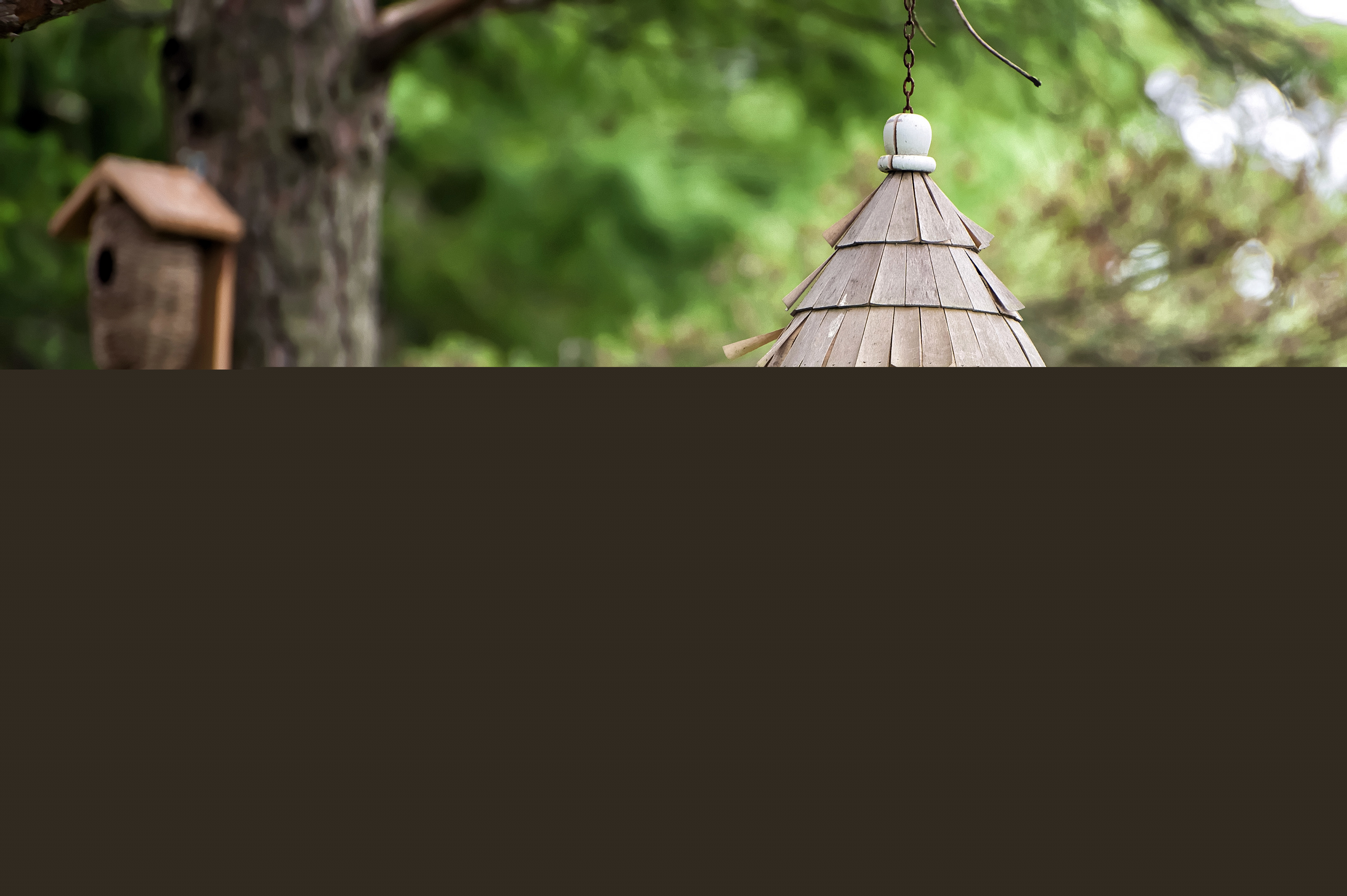 Blurred image background