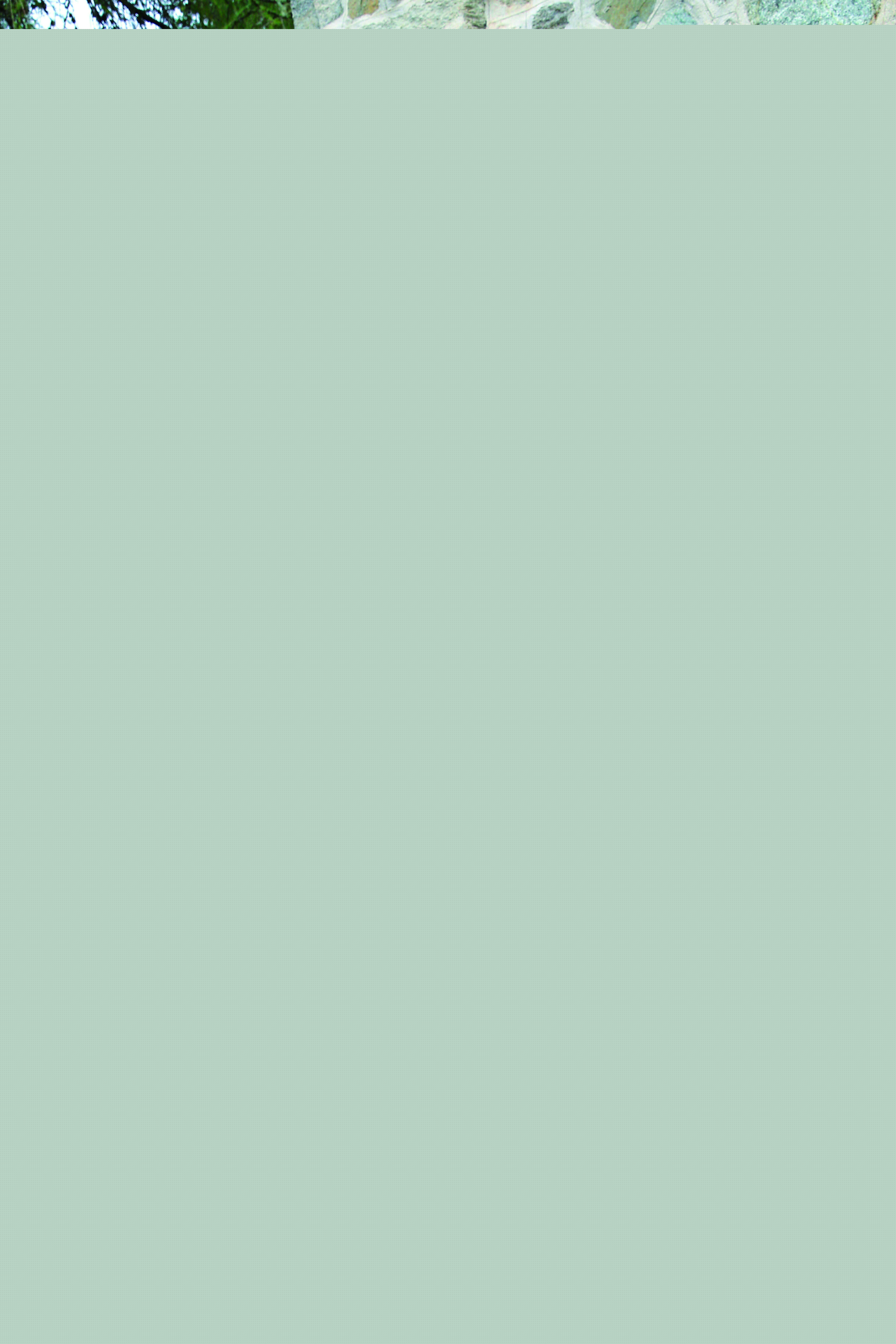 Blurred image background