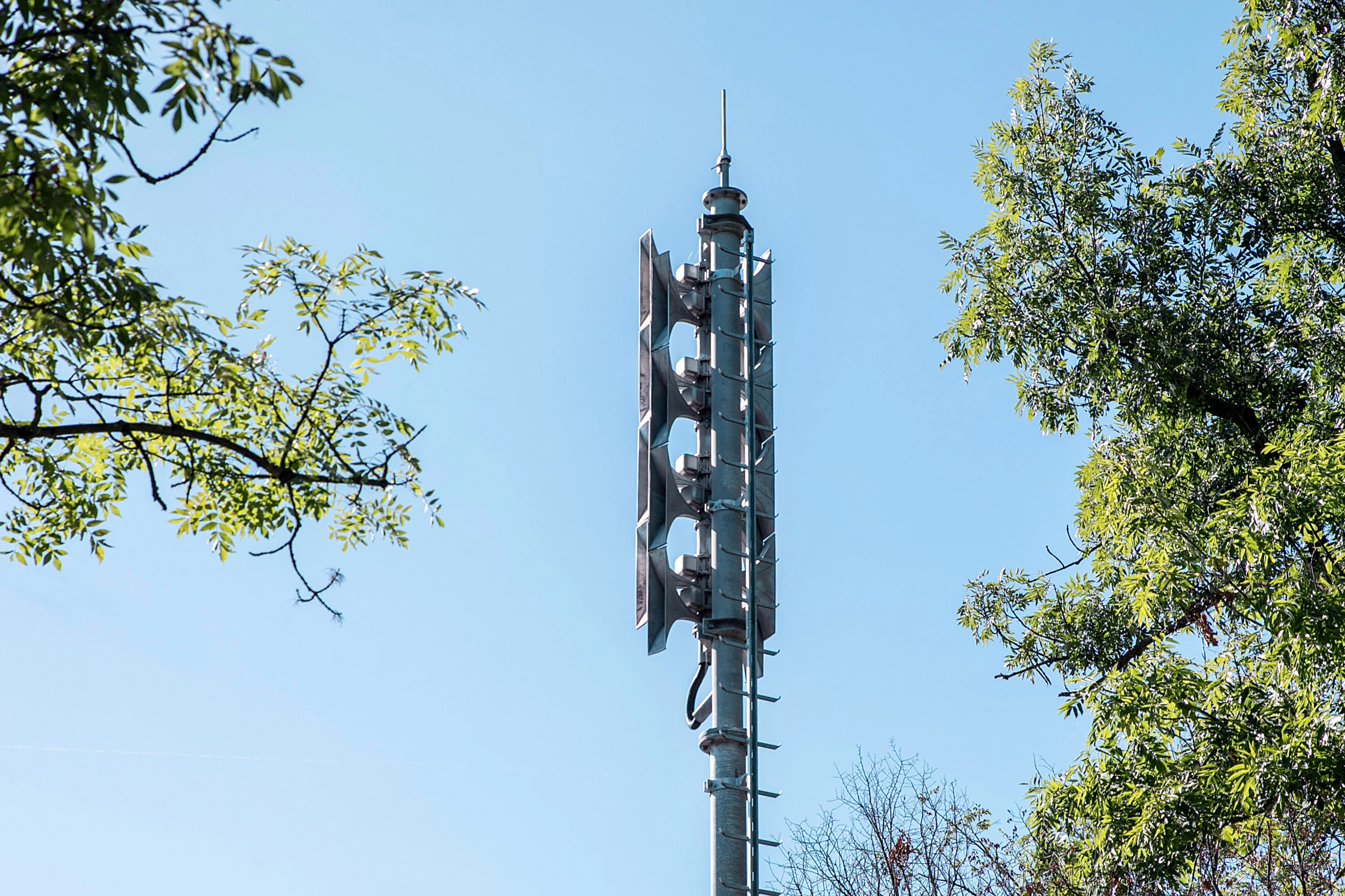 © Elke Mayr Blurred image background