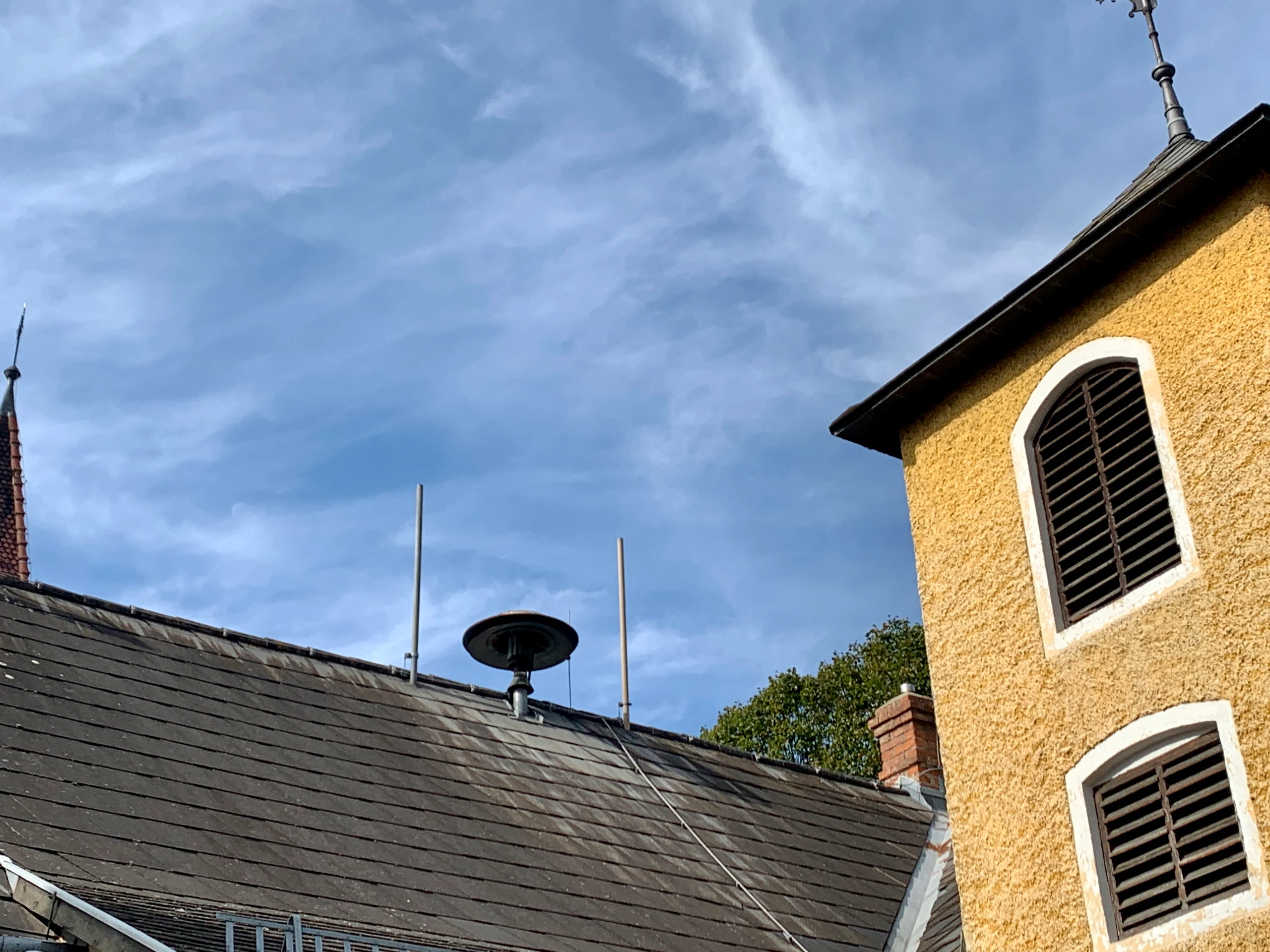 © Elke Mayr Blurred image background