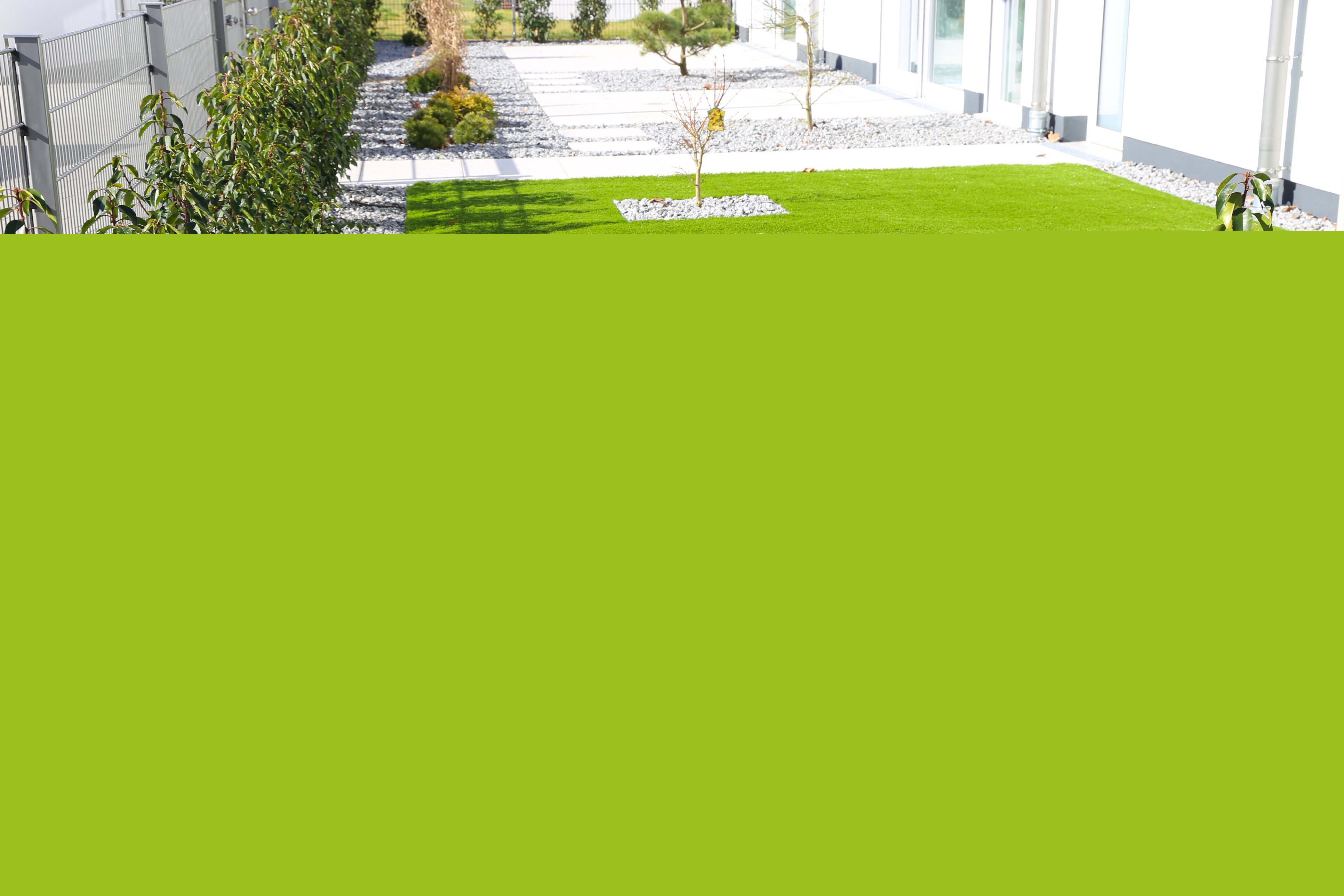 Blurred image background