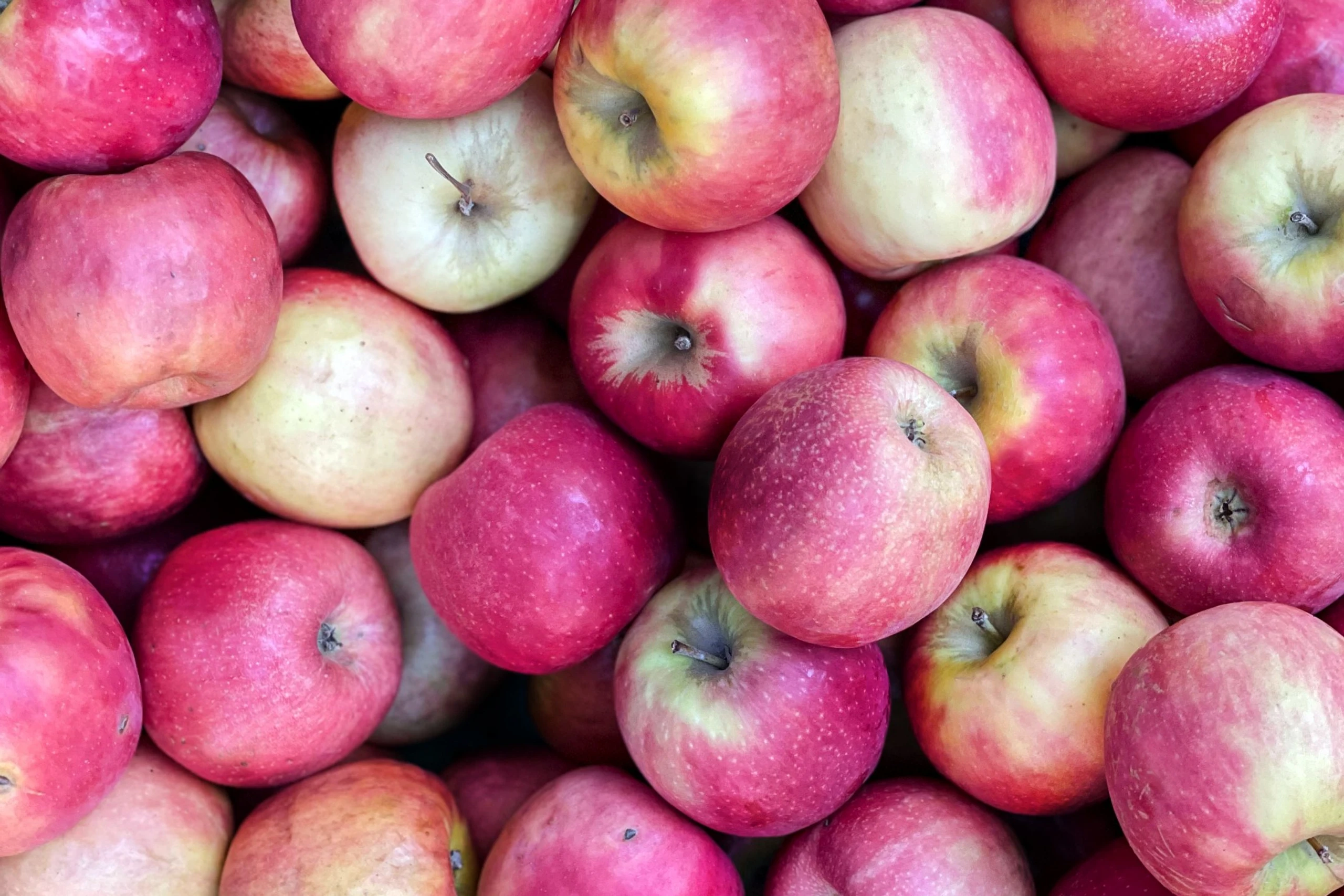 Blurred image background