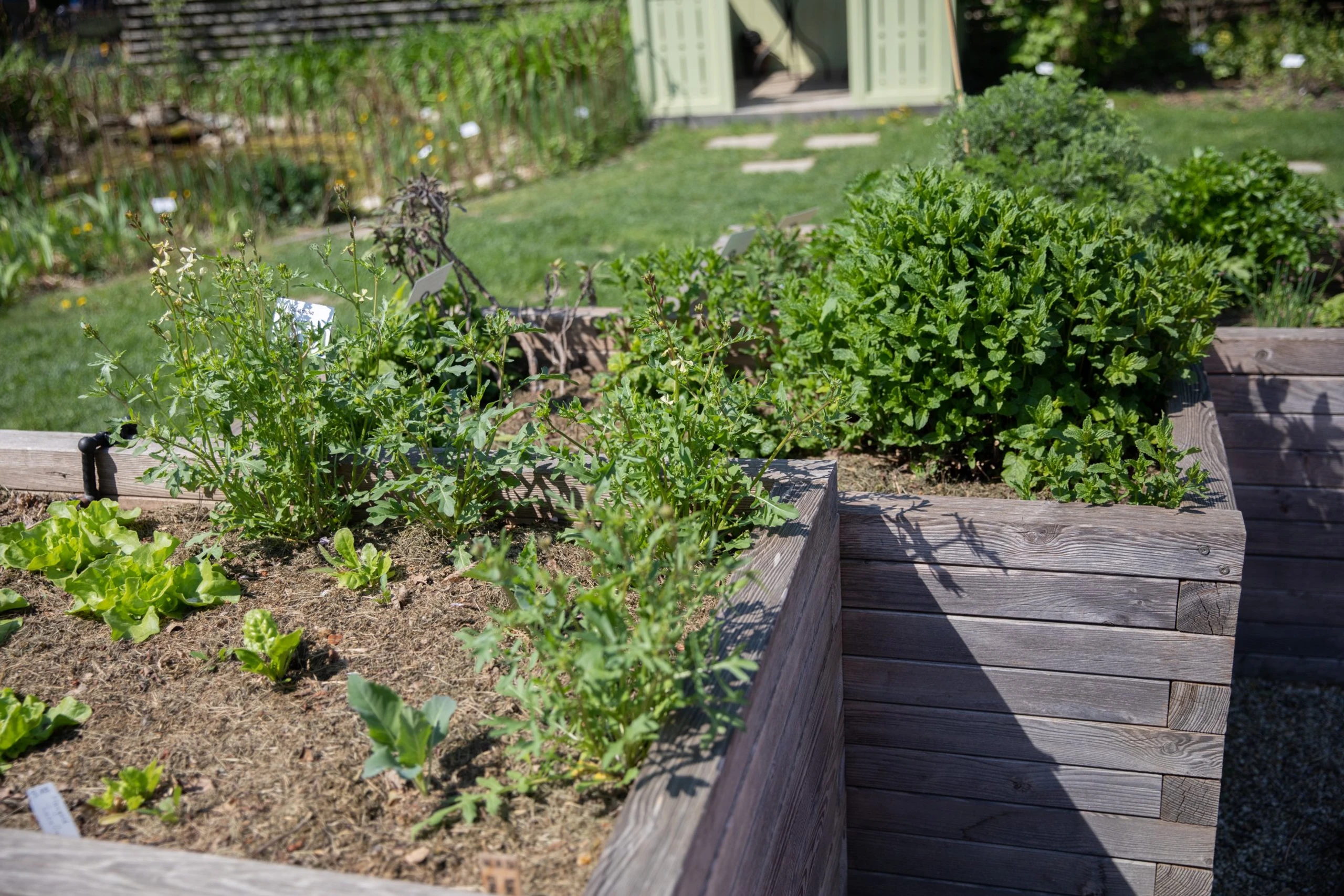 Blurred image background