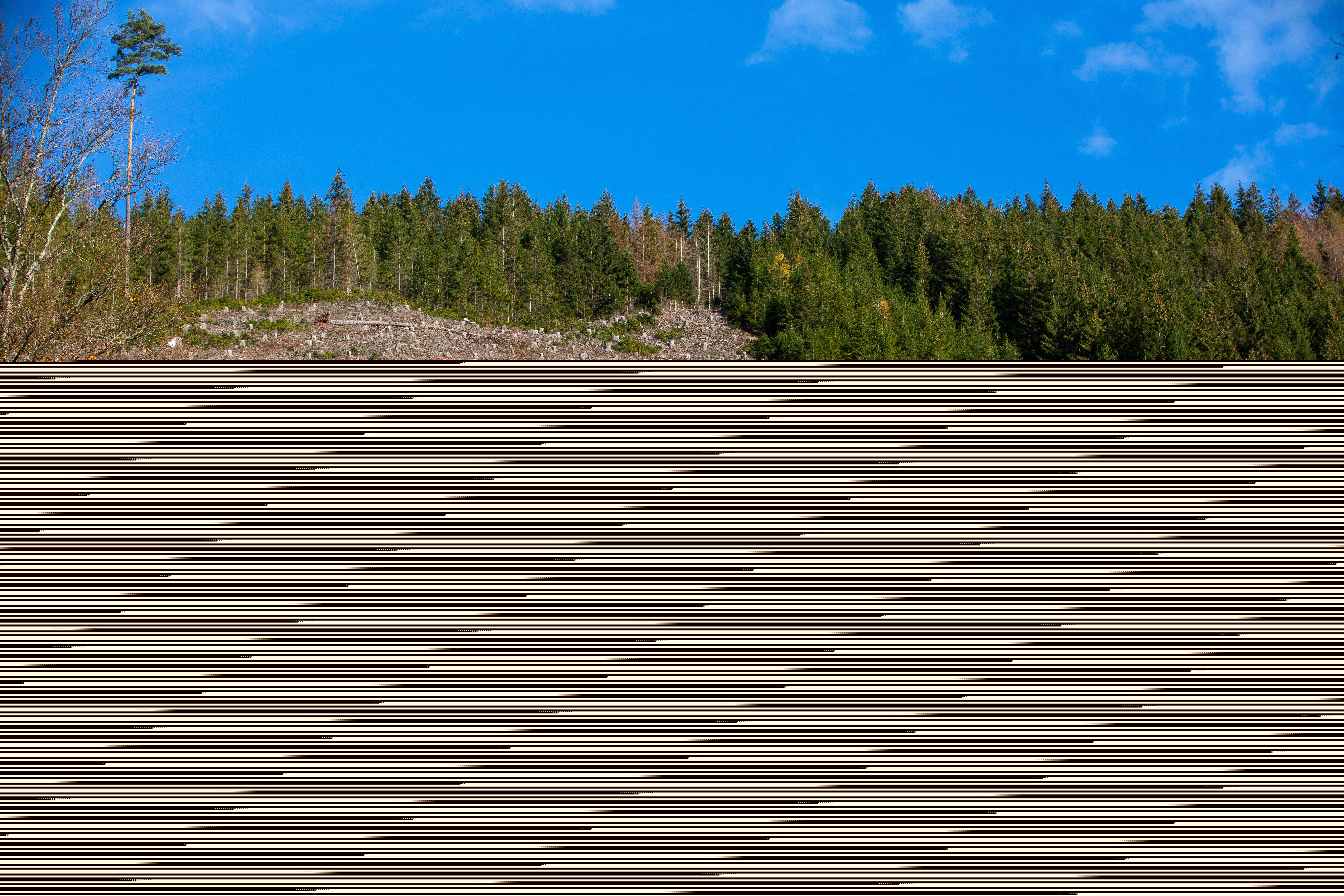 Blurred image background
