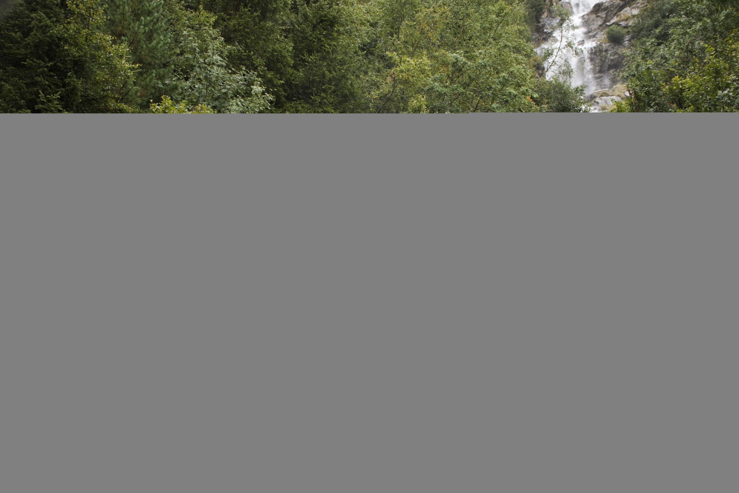 Blurred image background