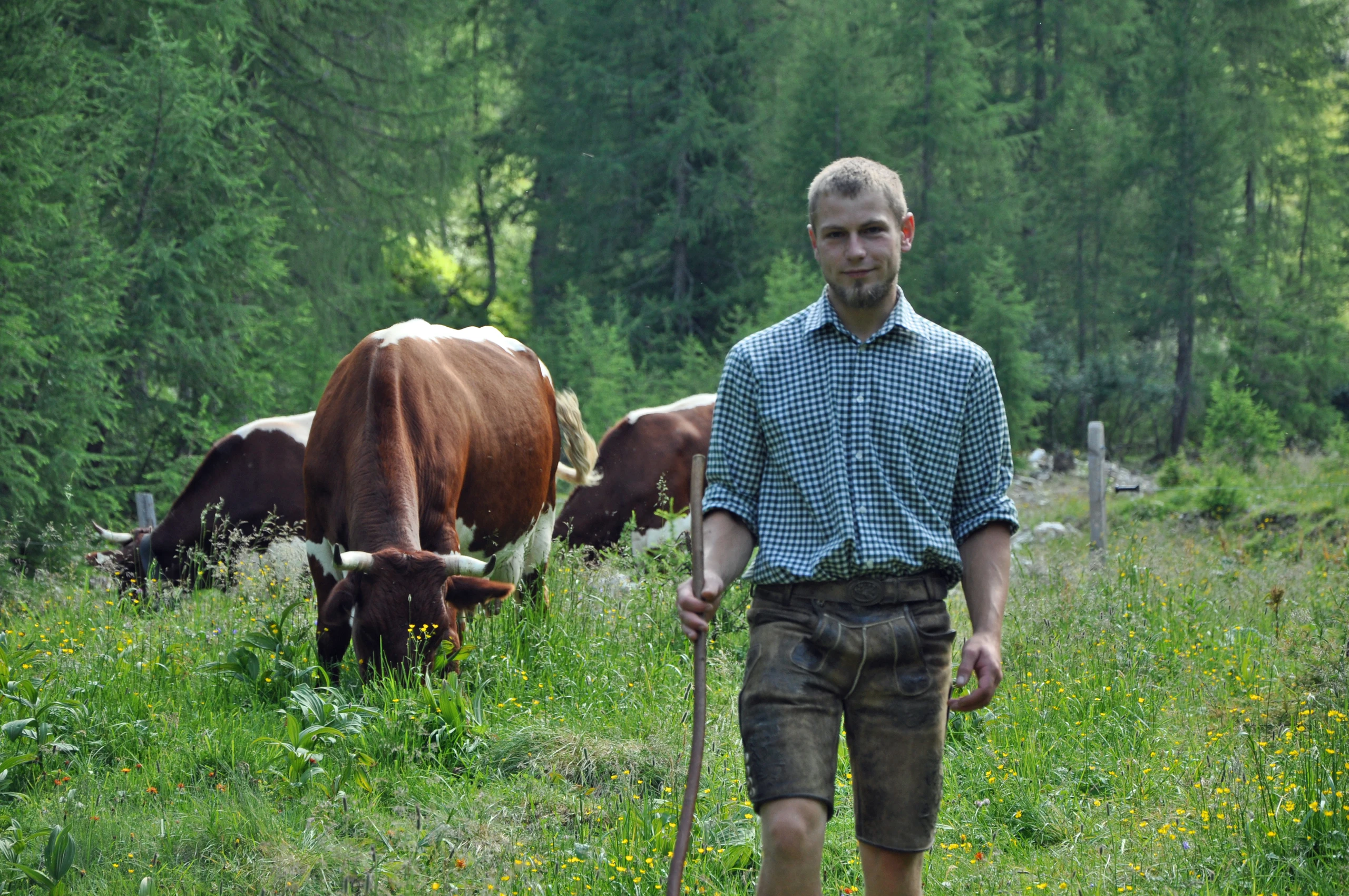 © Filzmossalm/Martin Huber Blurred image background