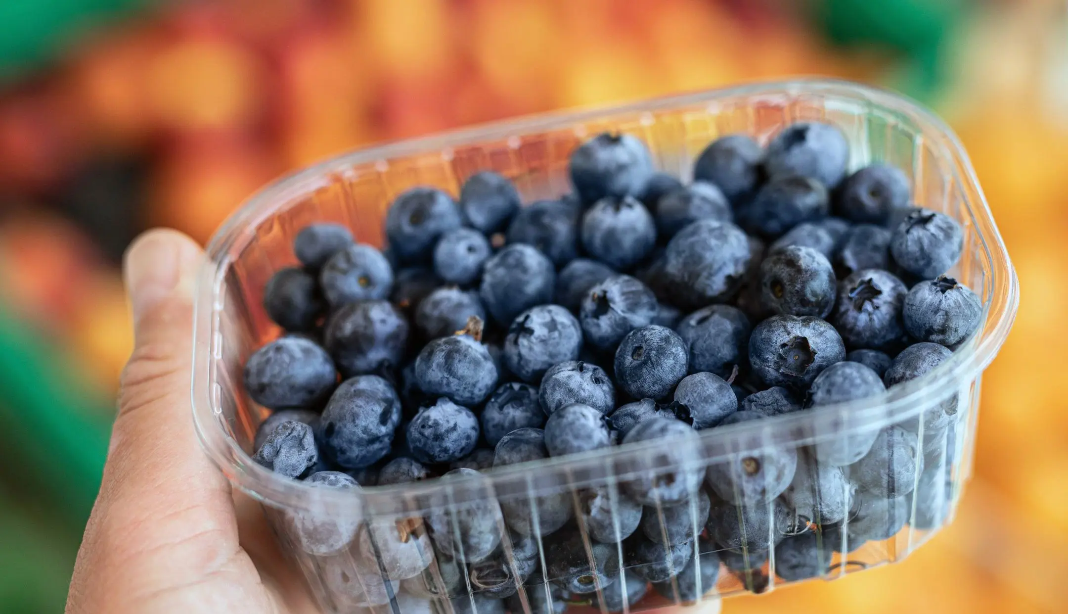 Heidelbeeren, Blaubeeren