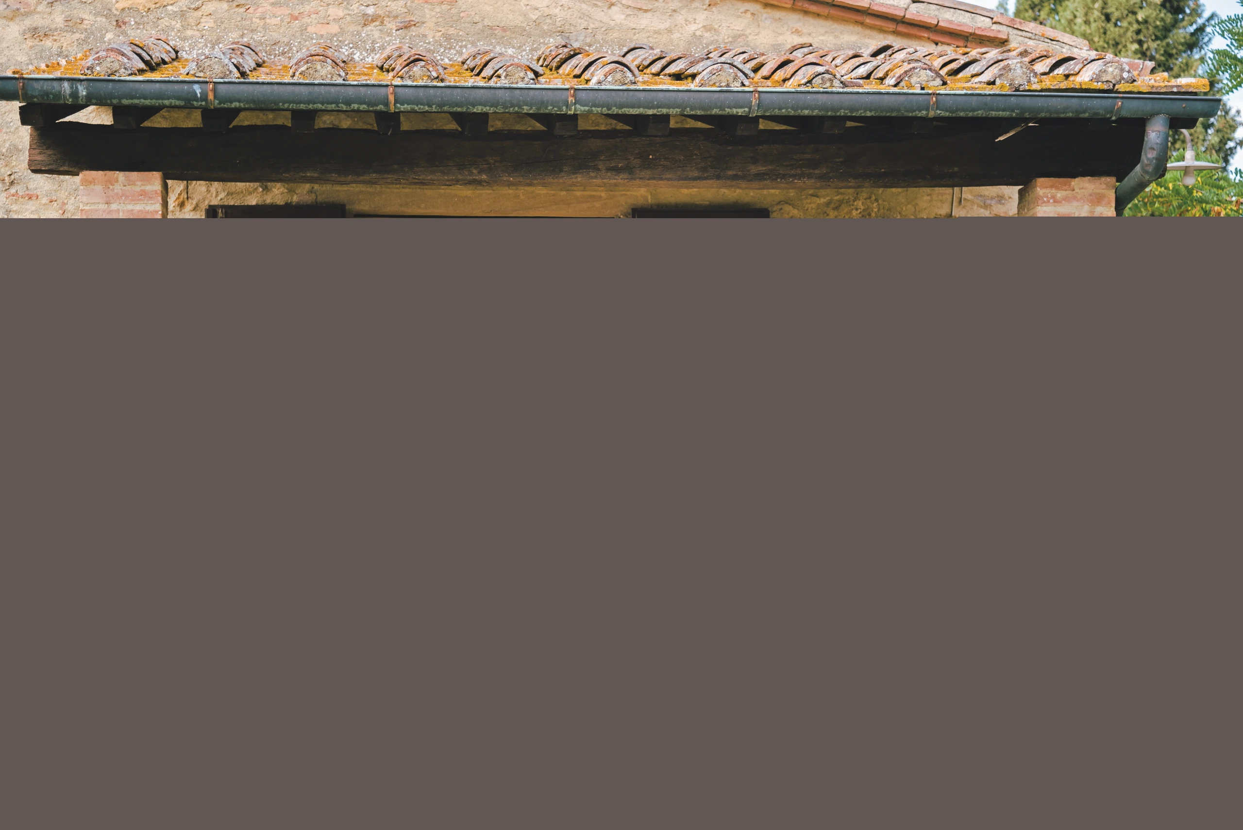 Blurred image background