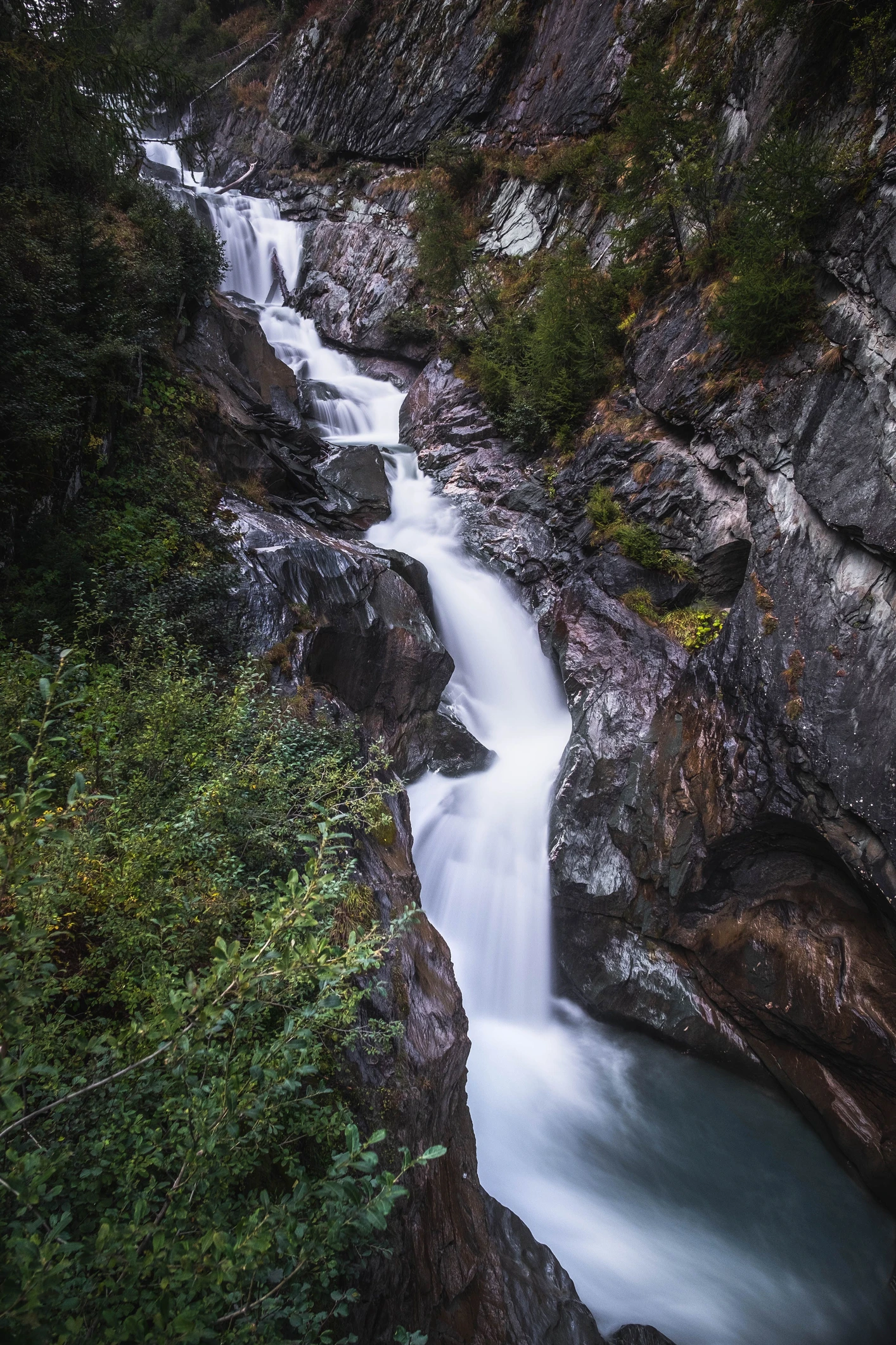 Blurred image background