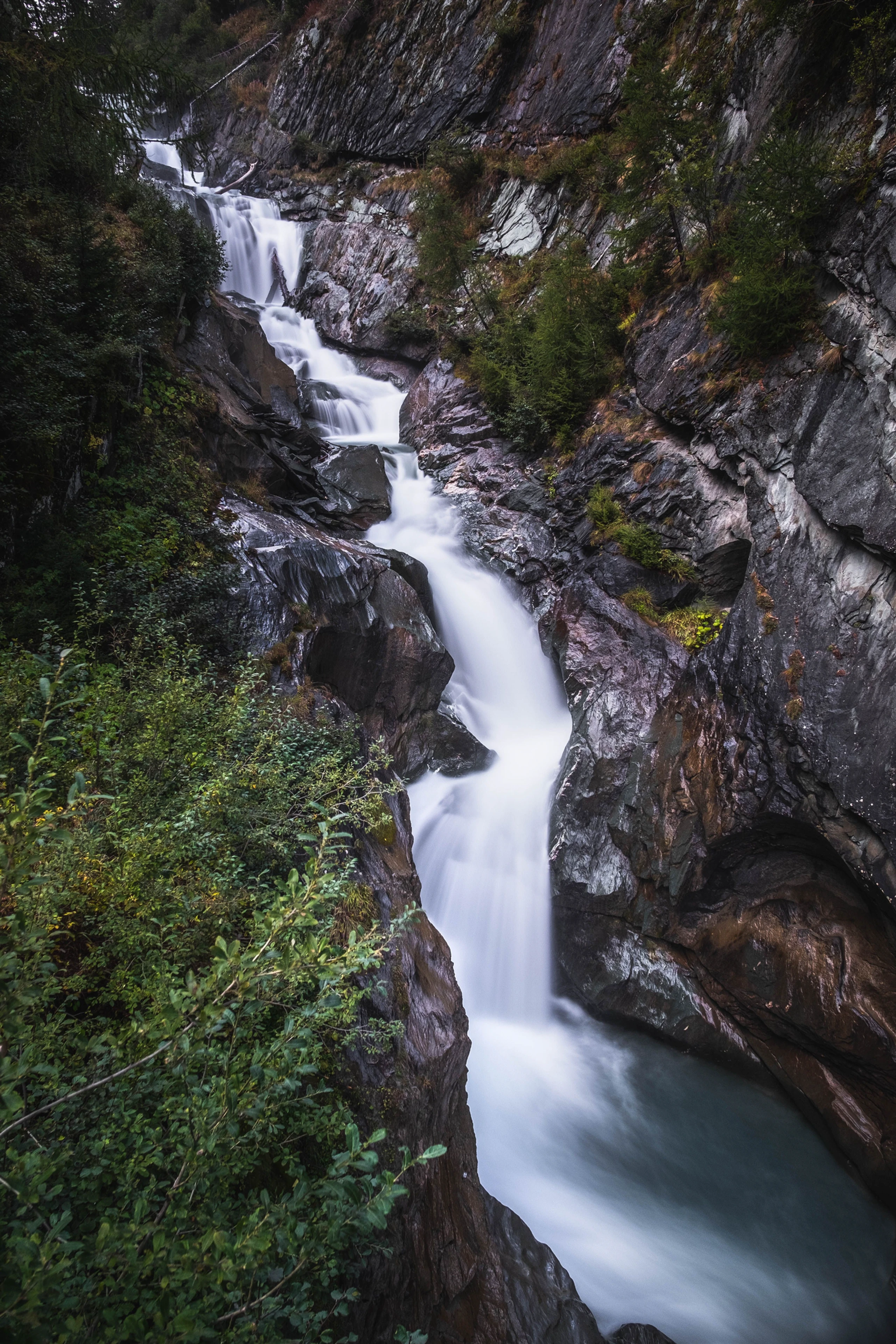 Blurred image background