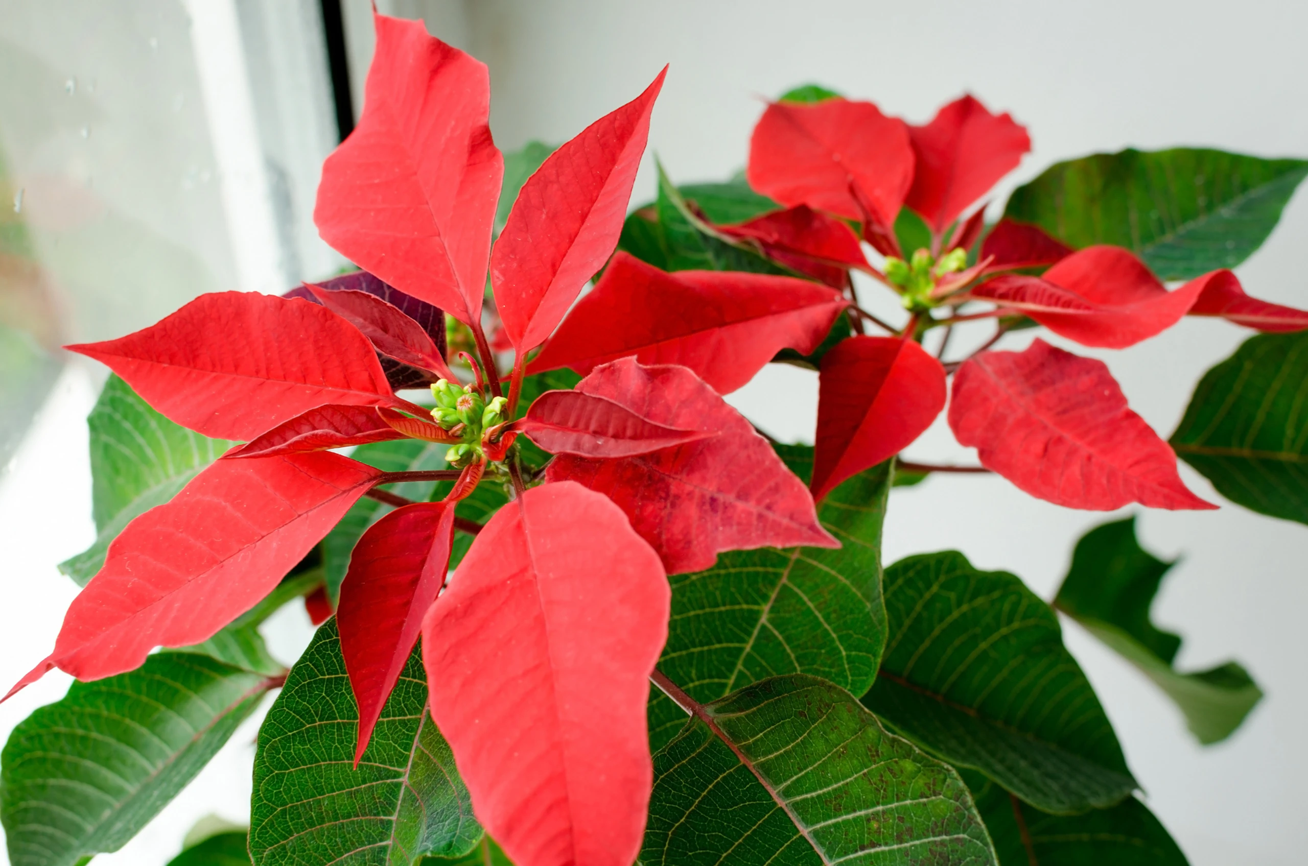 © iStockphoto.com Blurred image background