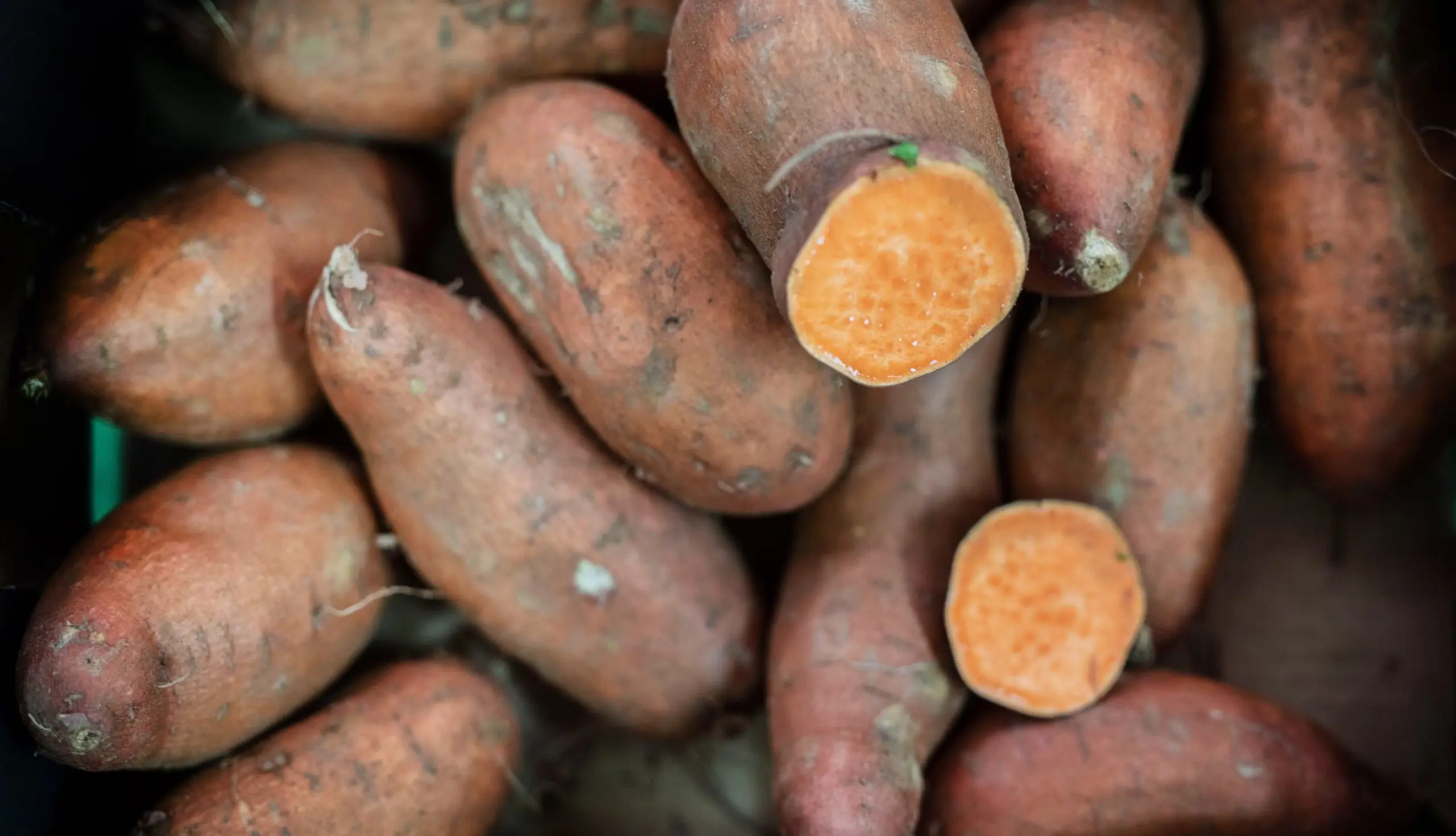 Die Süßkartoffel: vitaminreiches Kartoffelgemüse