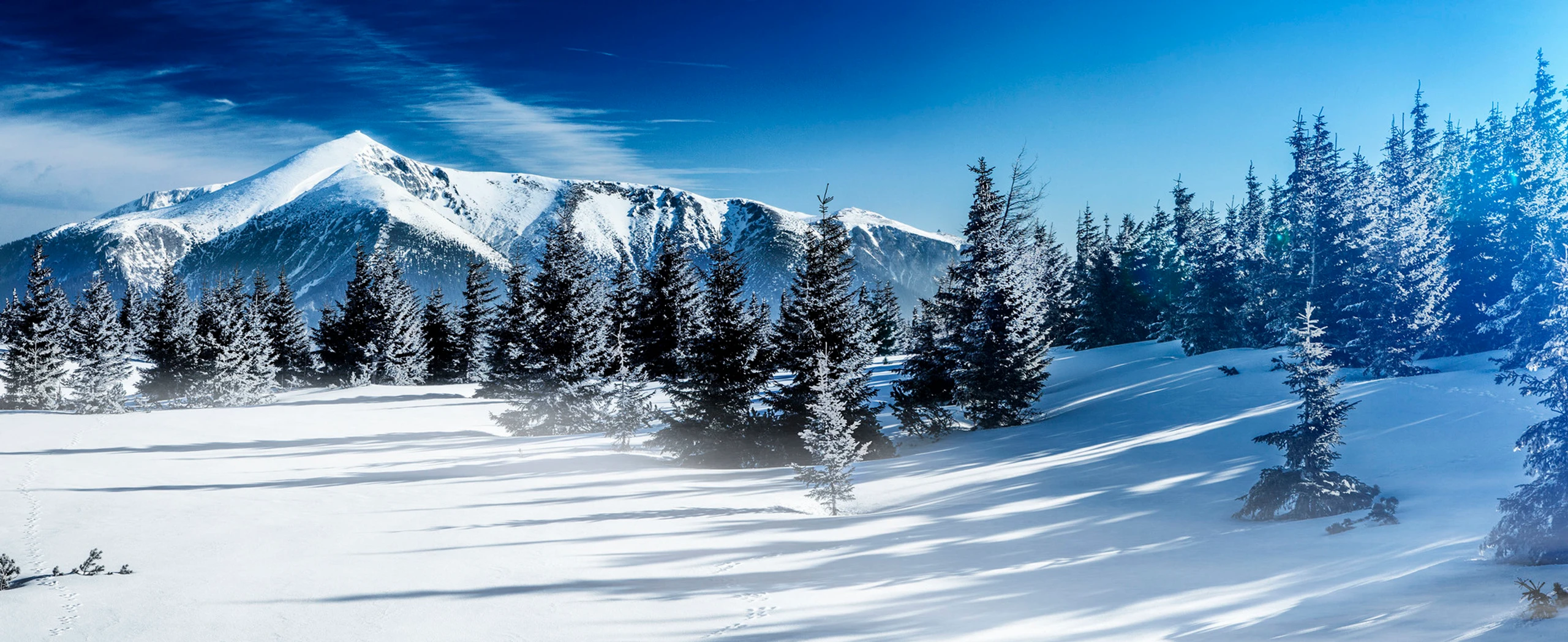 Blurred image background
