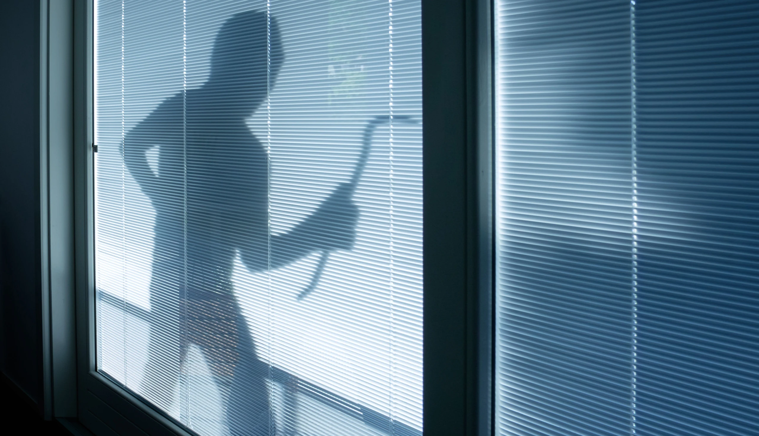Was sind "Home Invasions"?