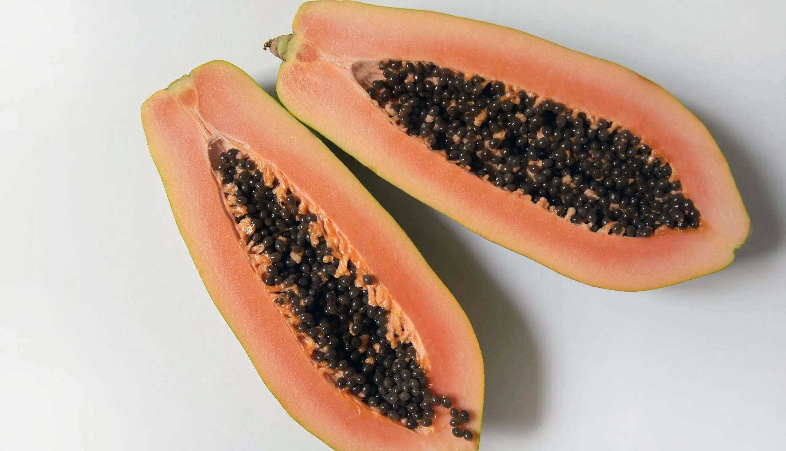 Papaya