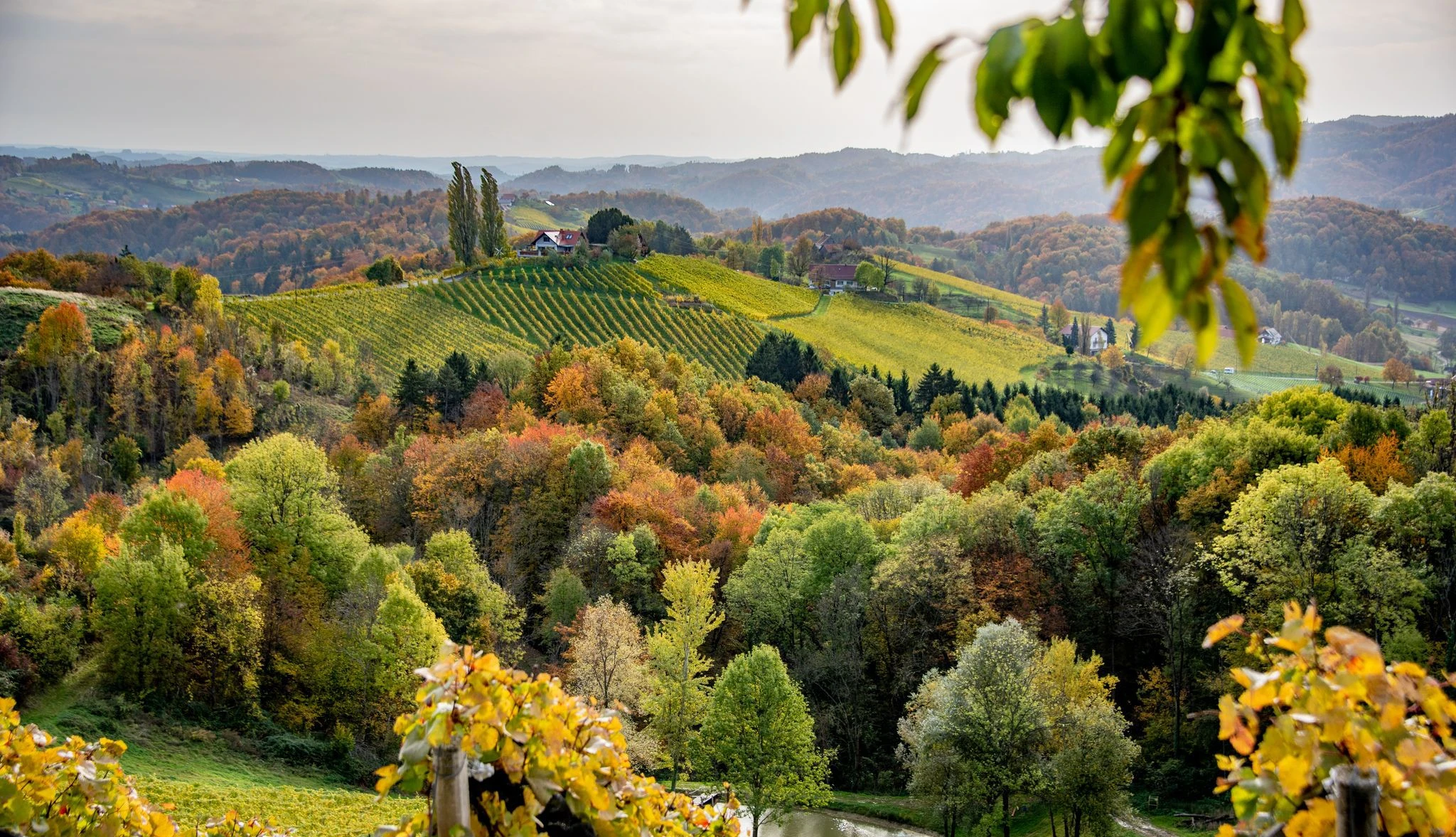 Steirische Weinstrasse