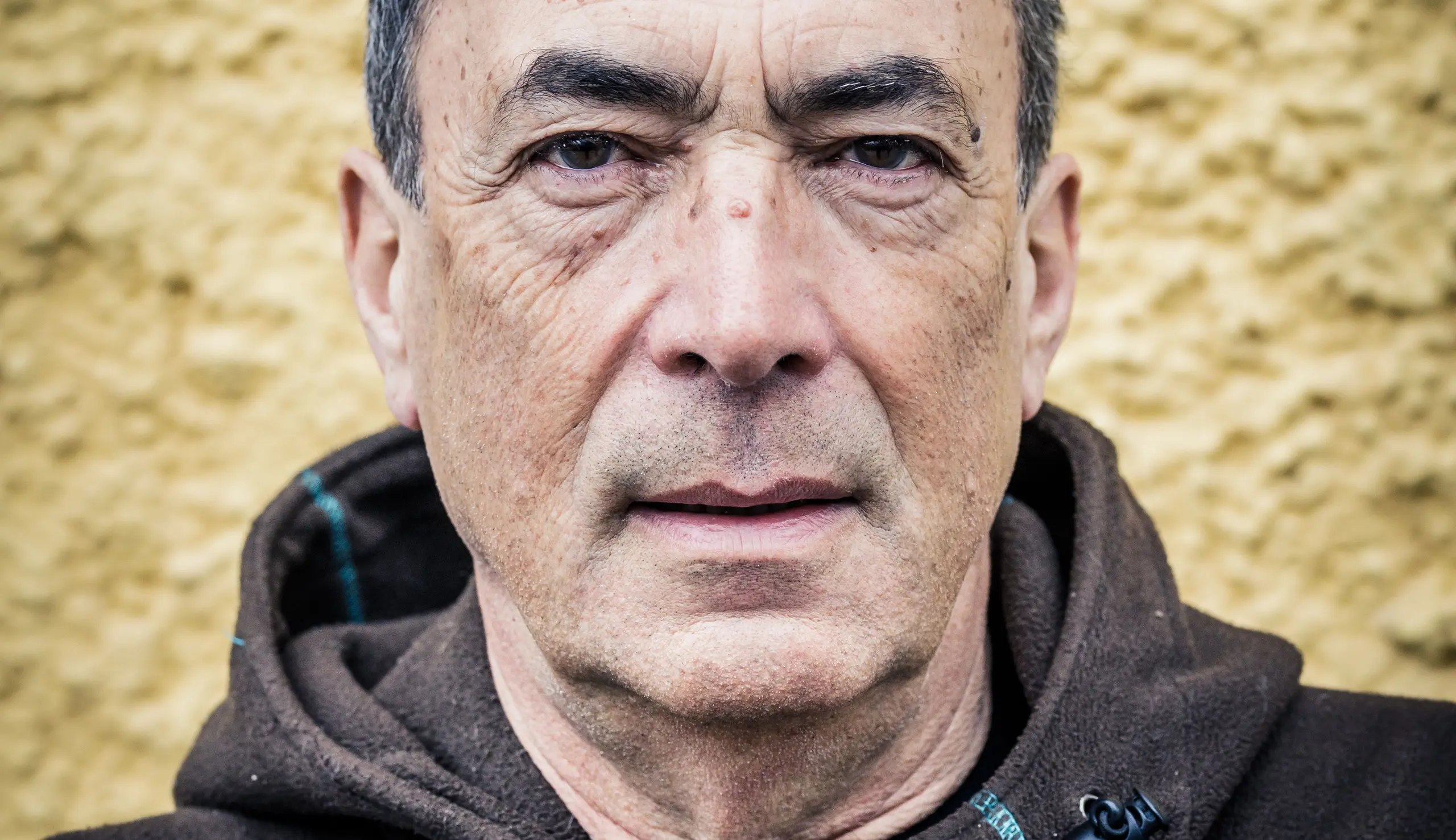 Hubert von Goisern