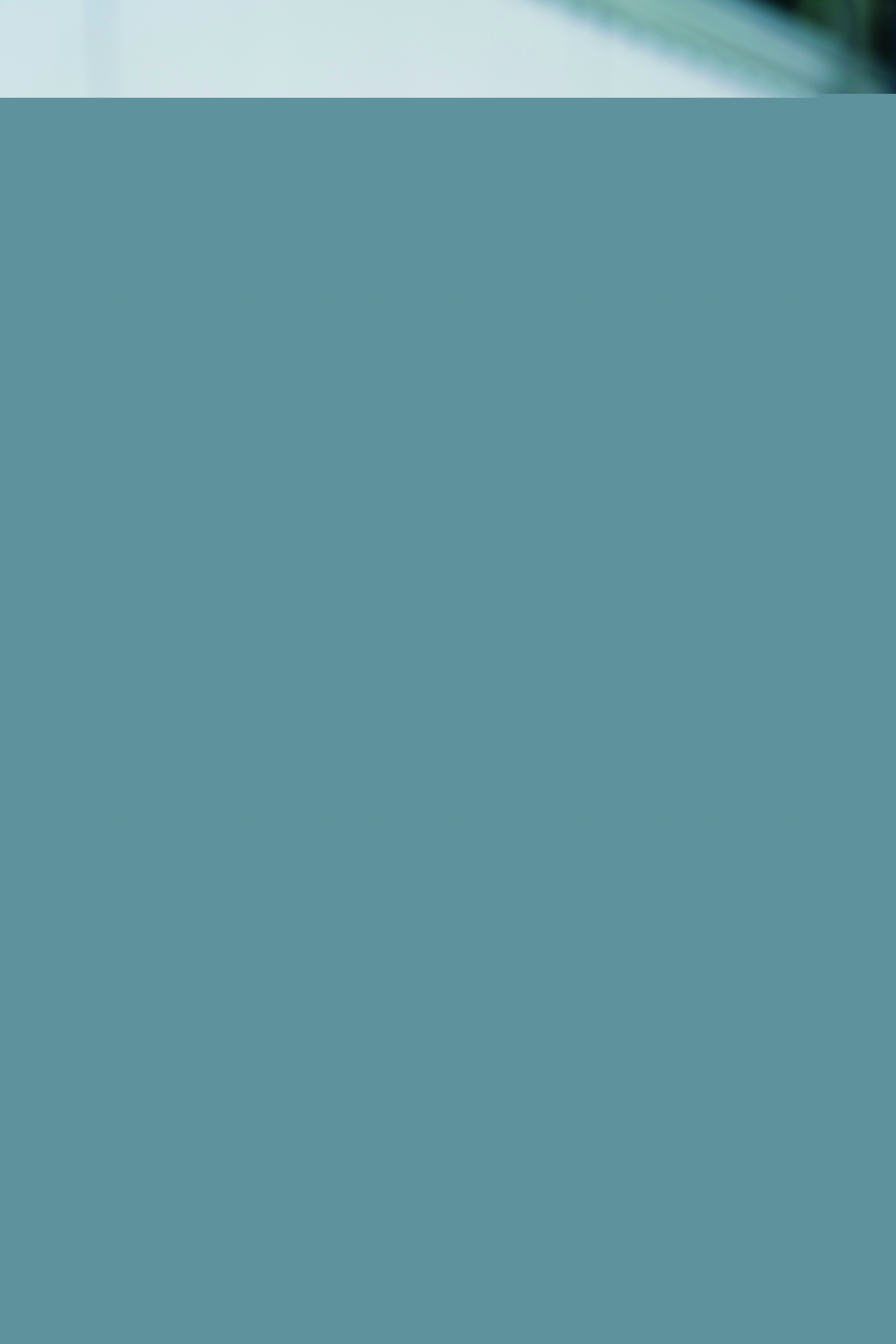 Blurred image background