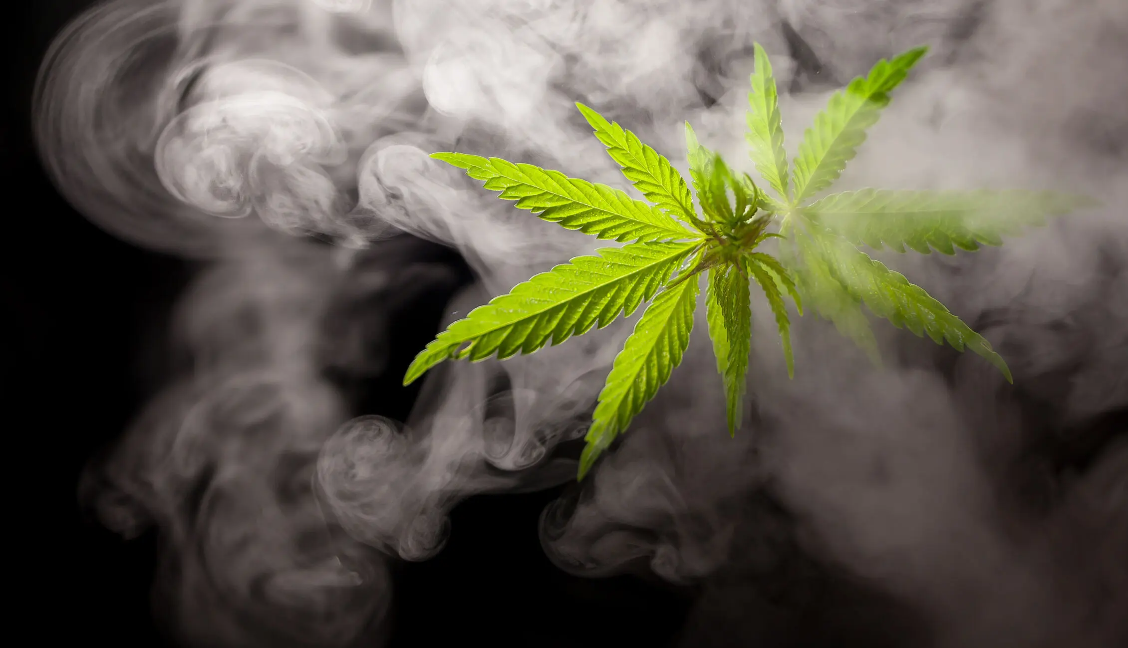 Cannabis rauchen