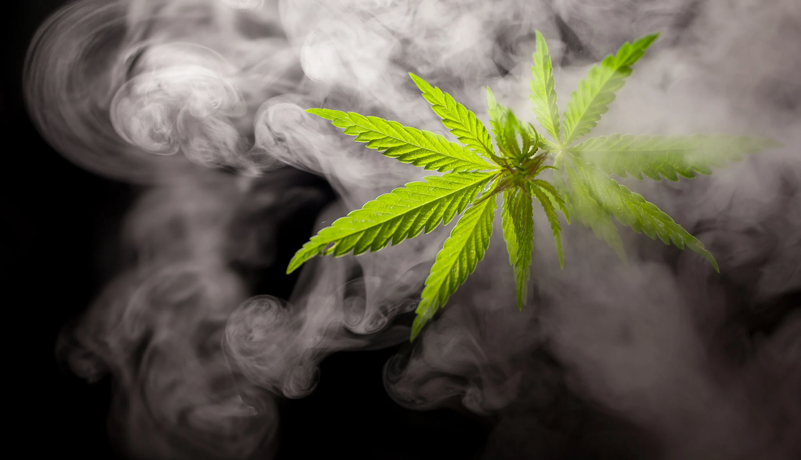 Cannabis rauchen
