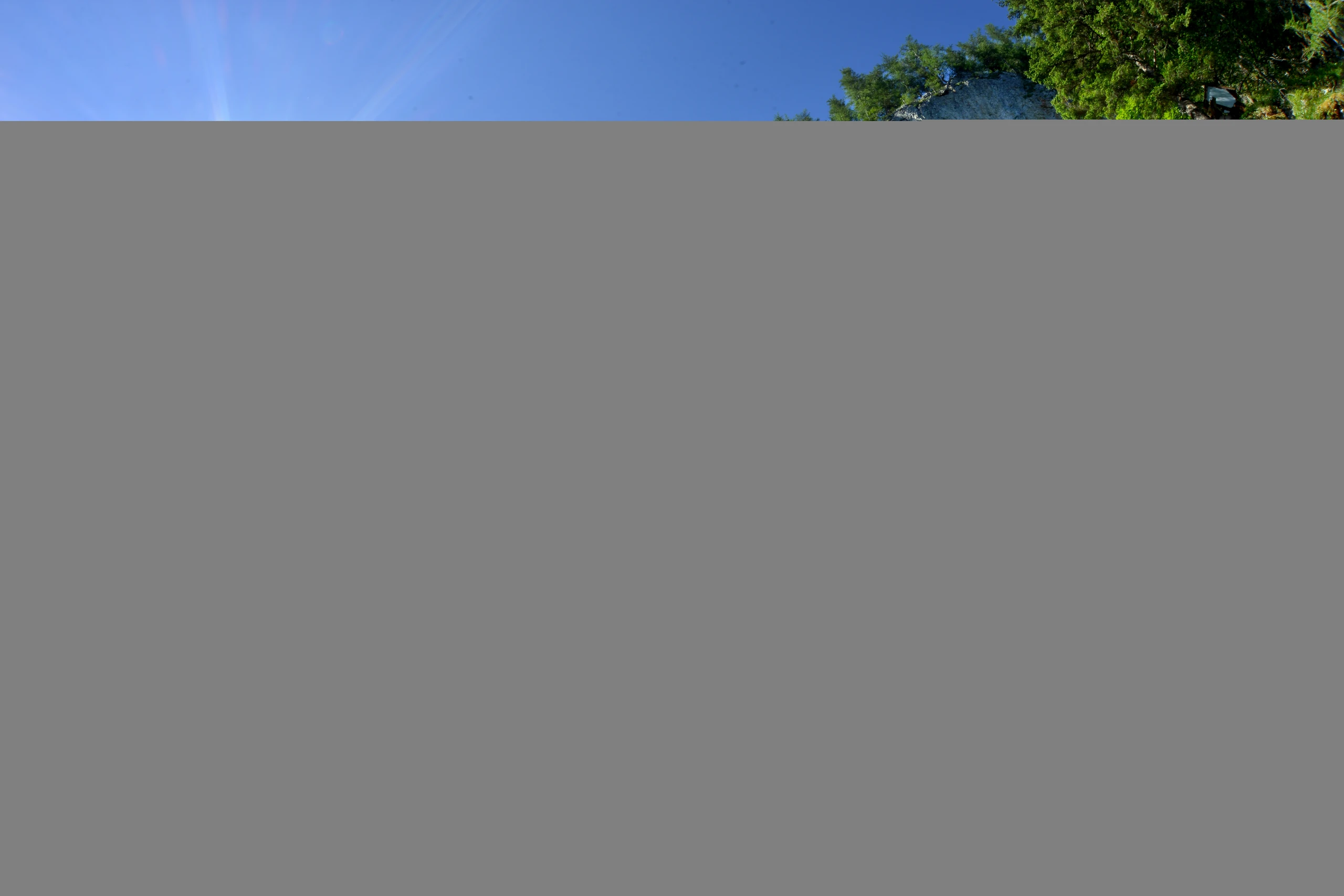 Blurred image background