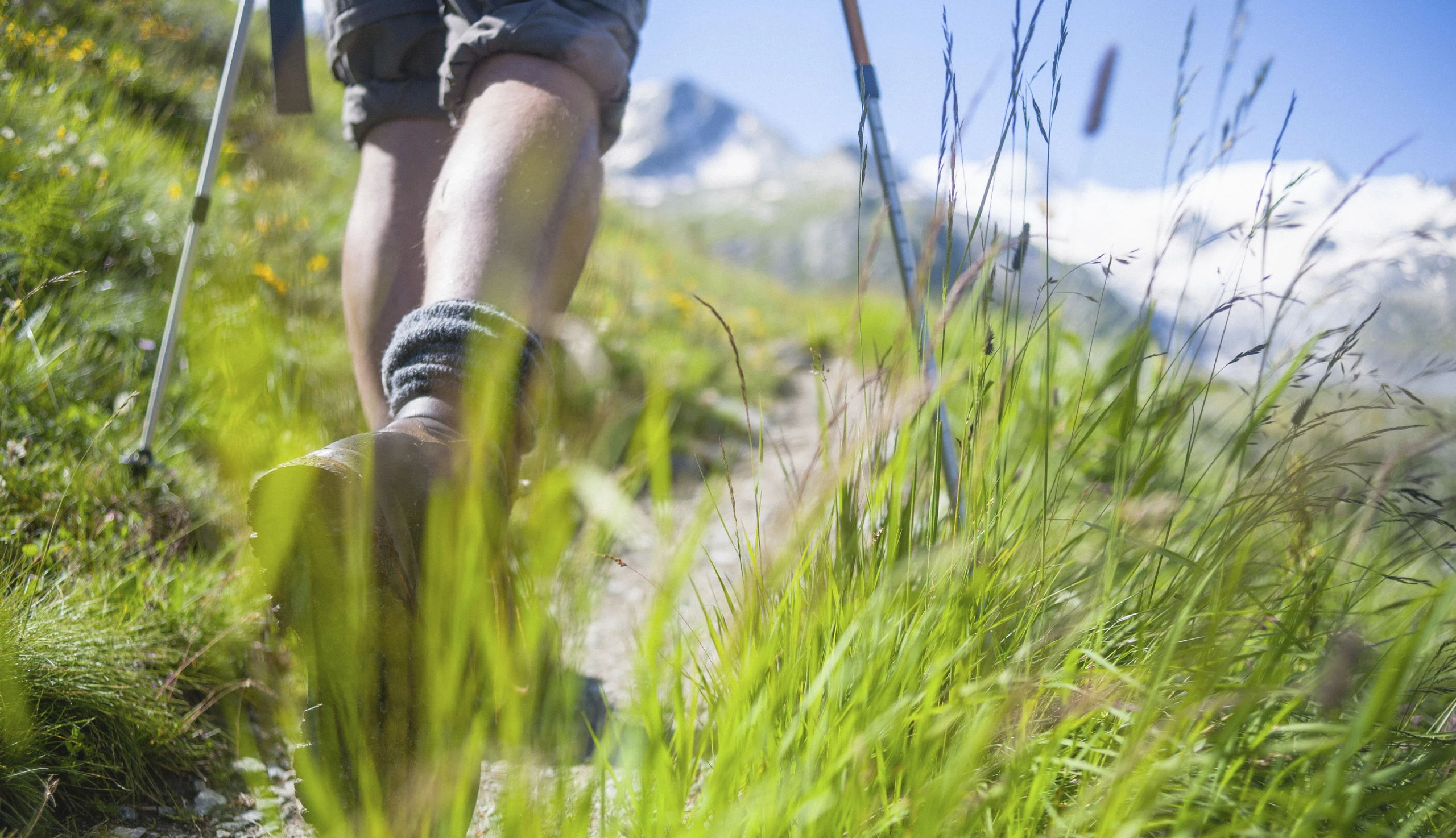 Wandern