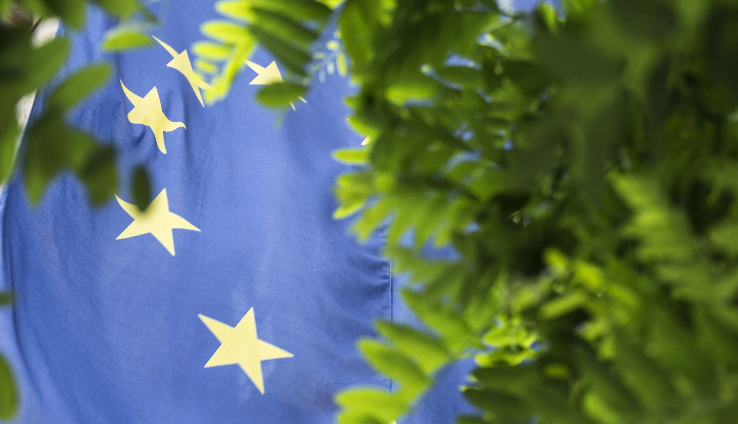 Grünes Europa