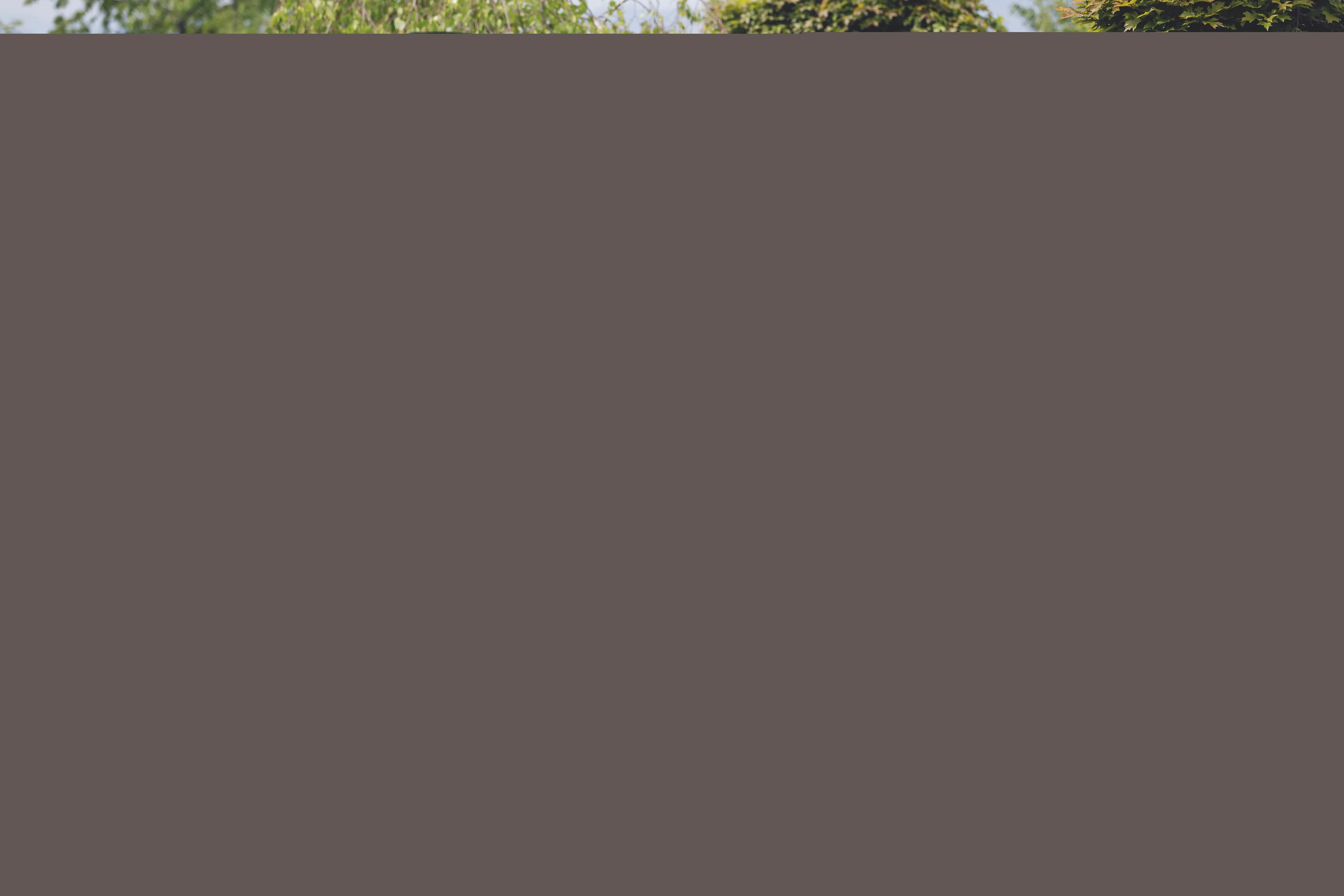 Blurred image background