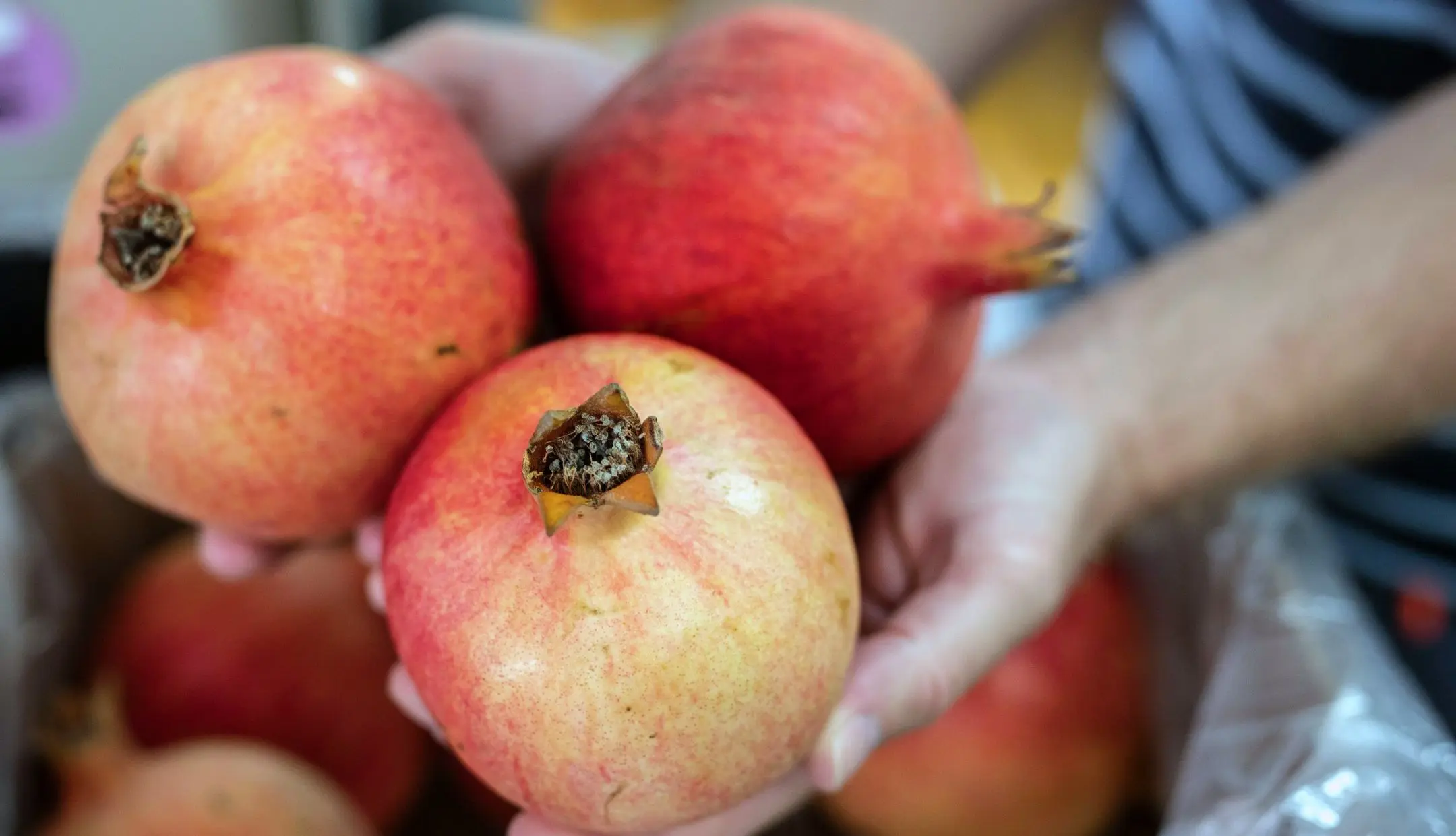 Granatapfel