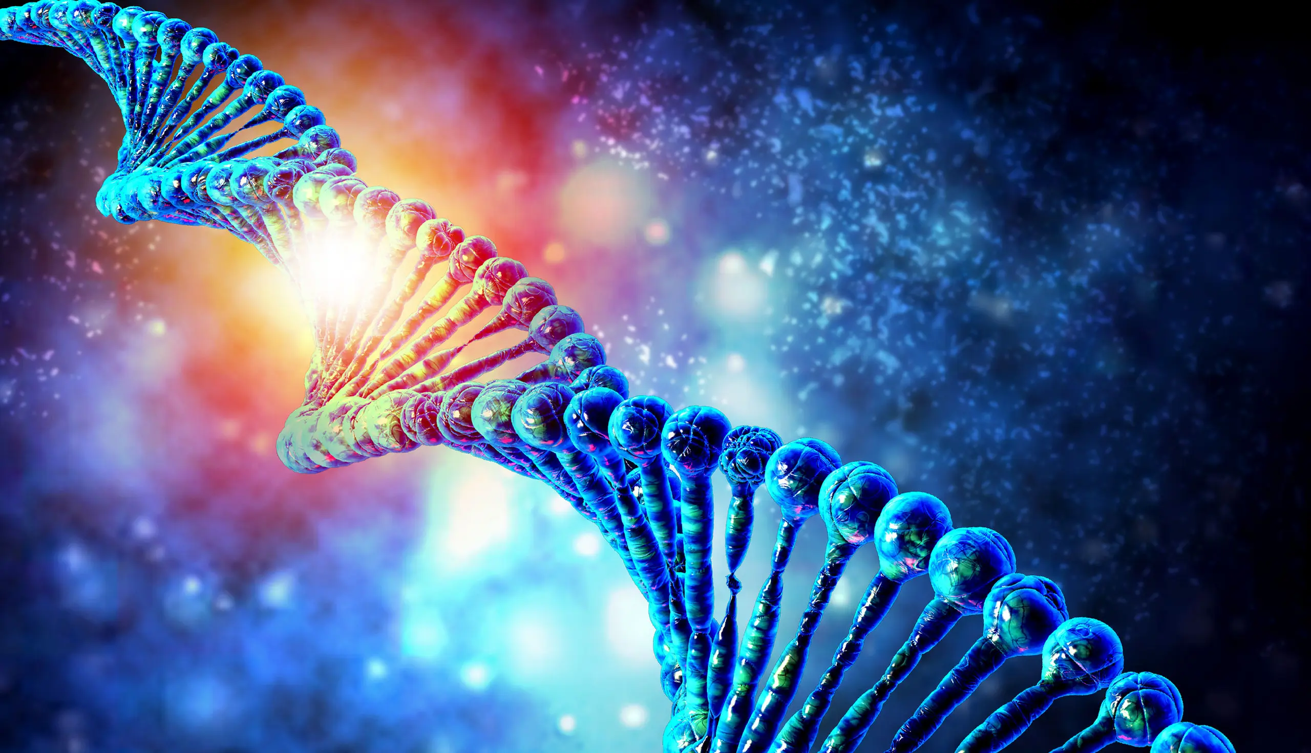 Grafische Darstellung des Genoms