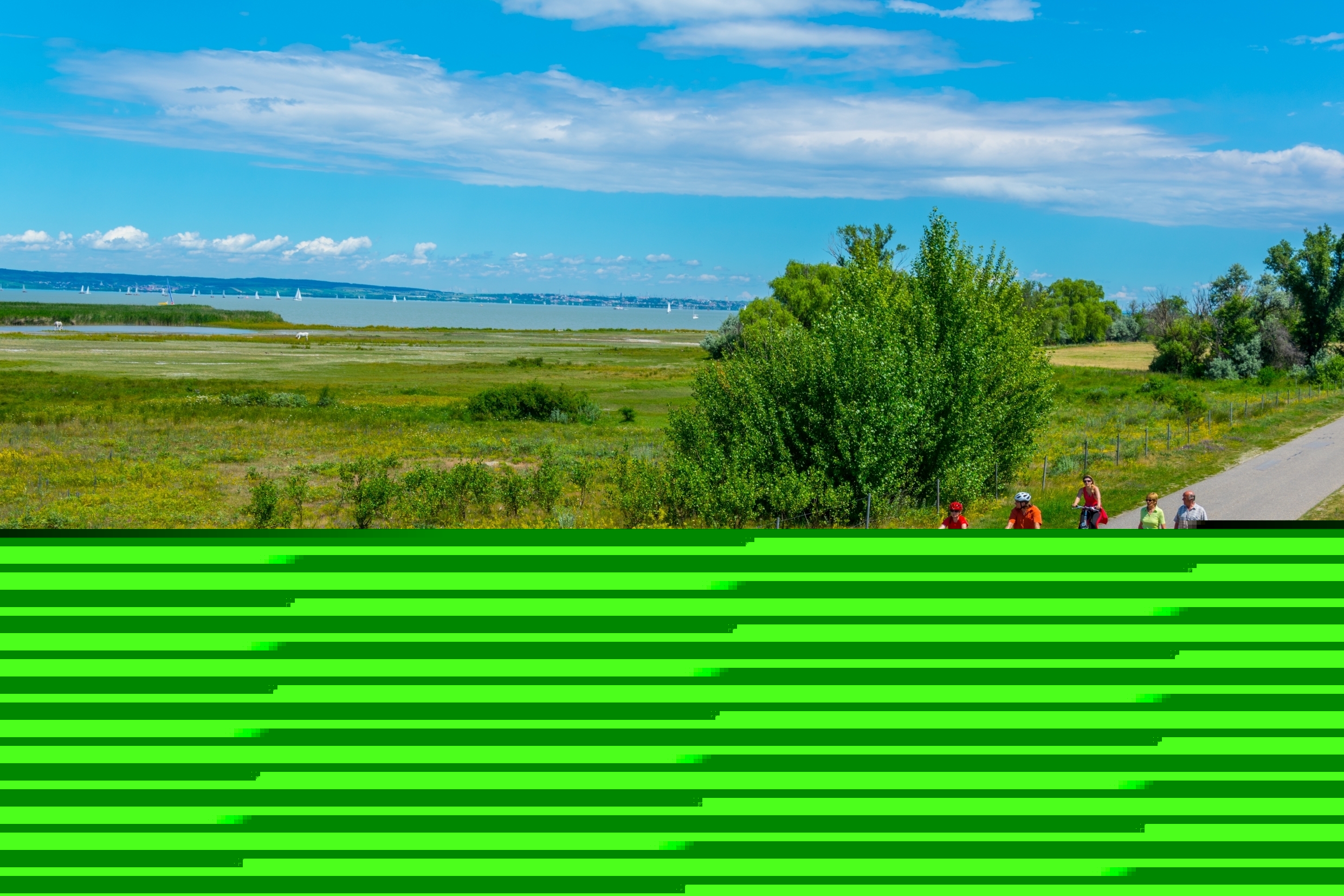 Blurred image background