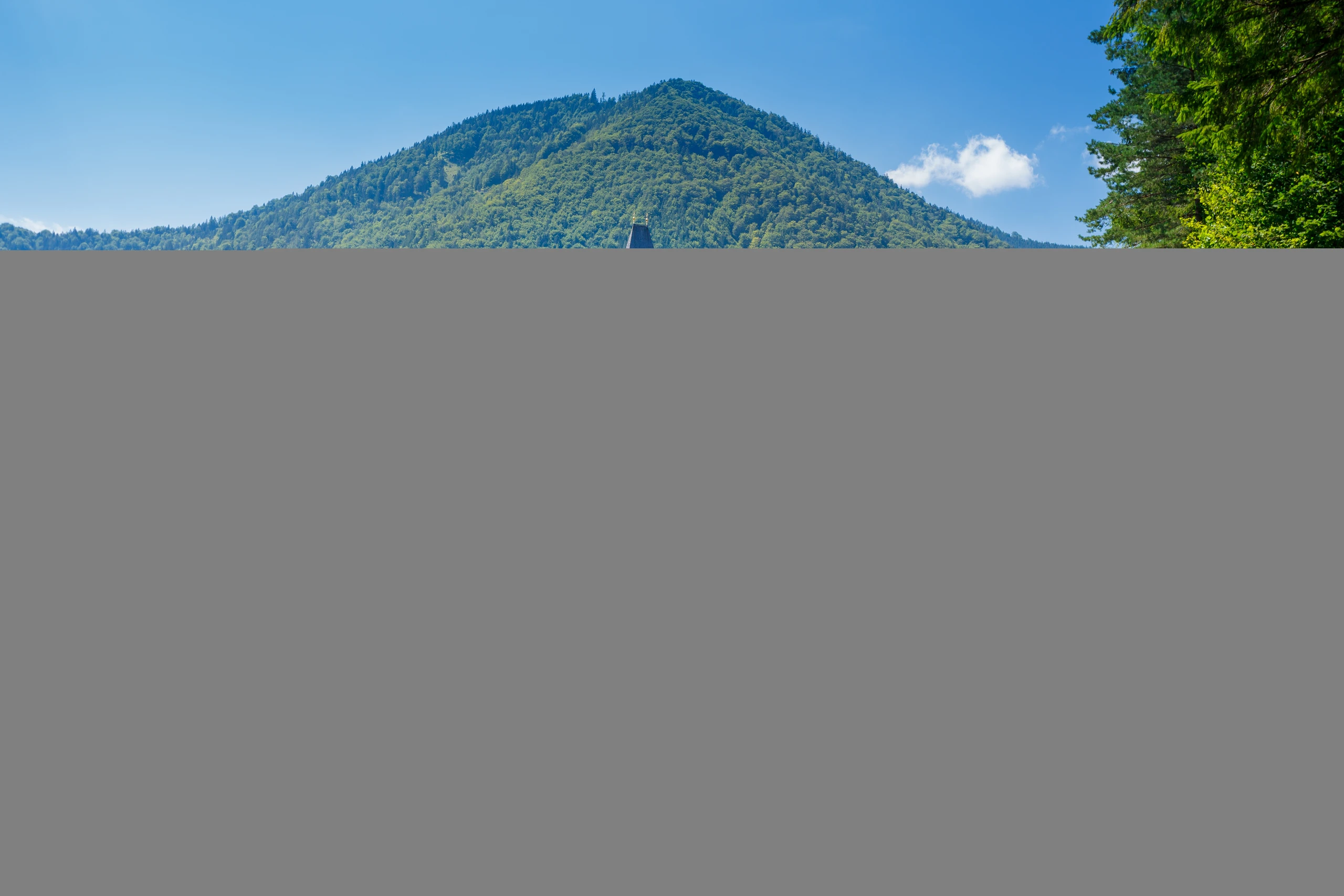 Blurred image background