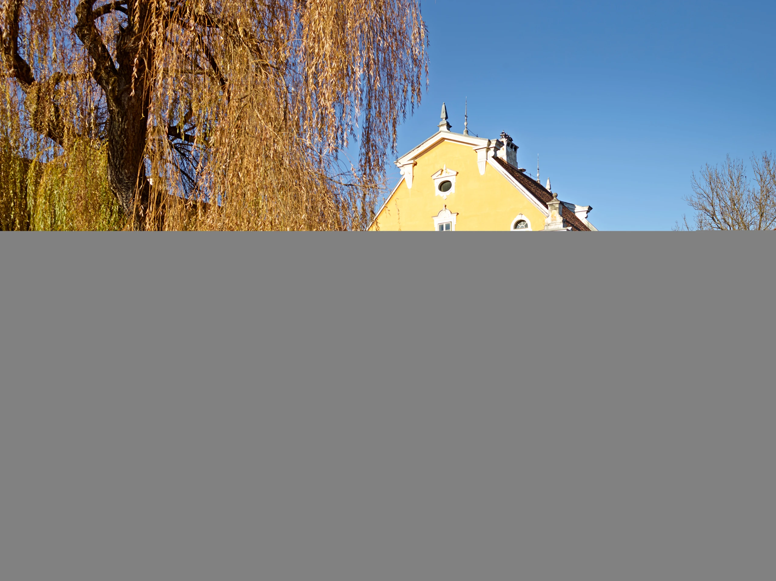 Blurred image background