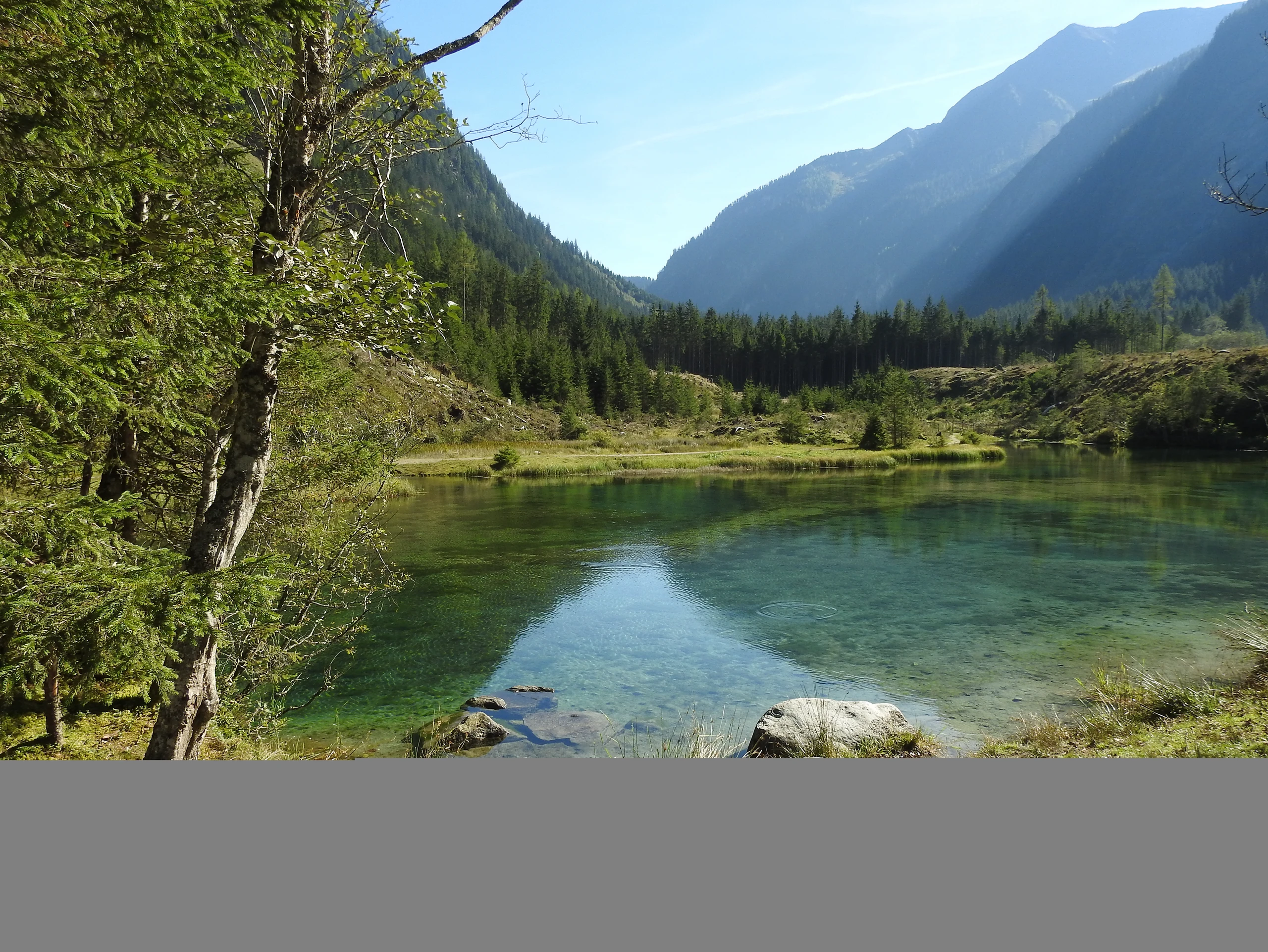 Blurred image background