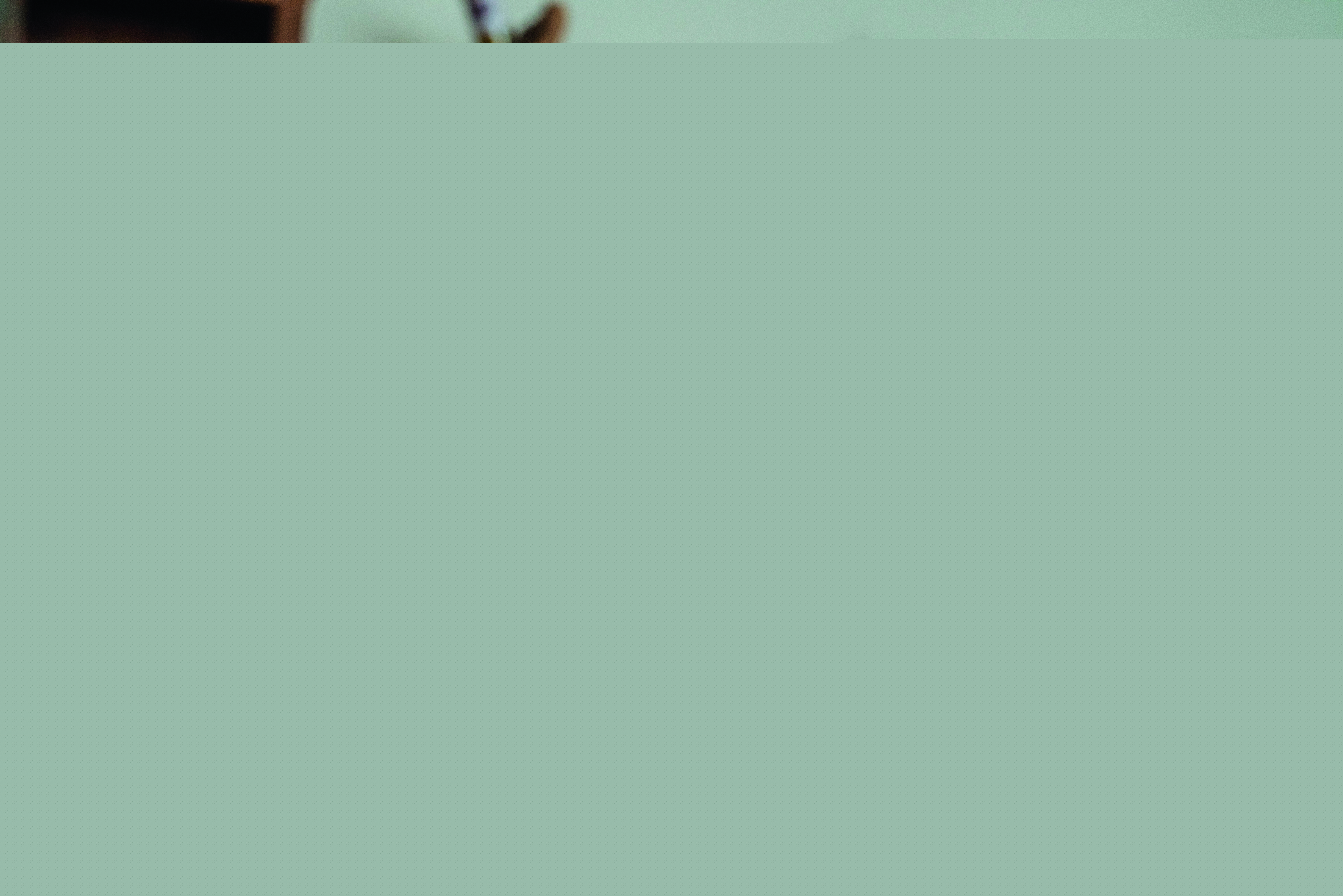 Blurred image background