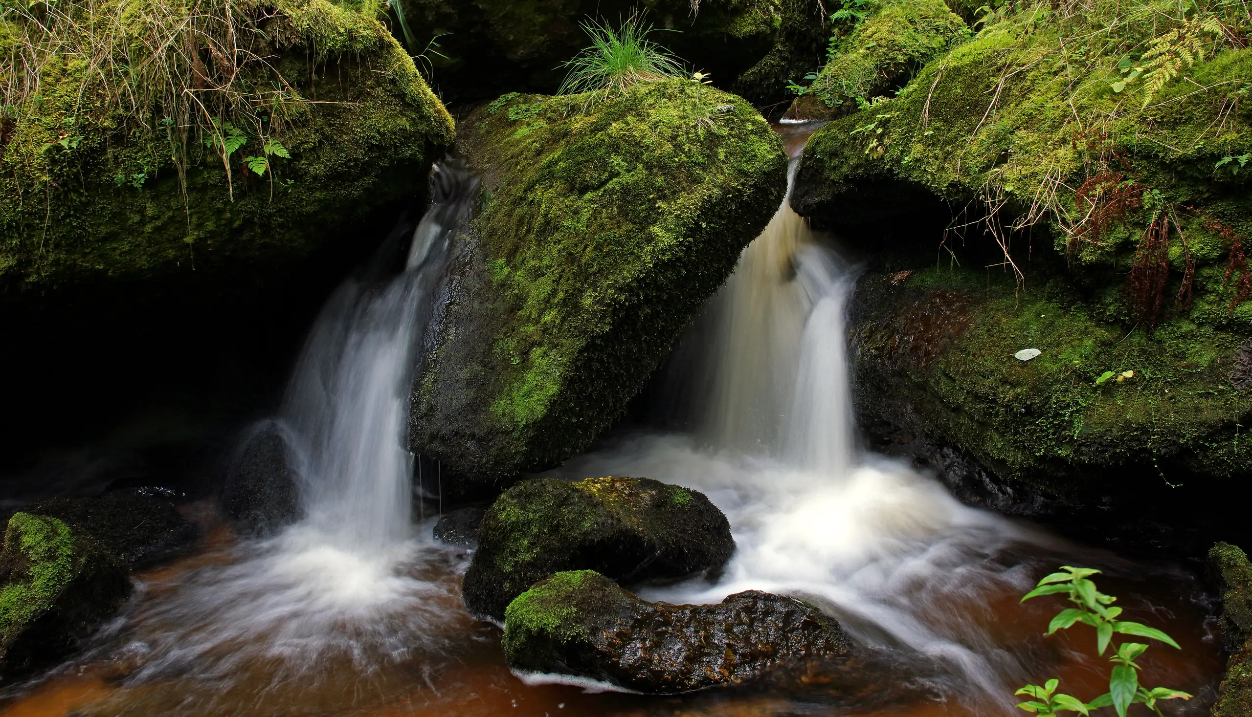 Waldviertel