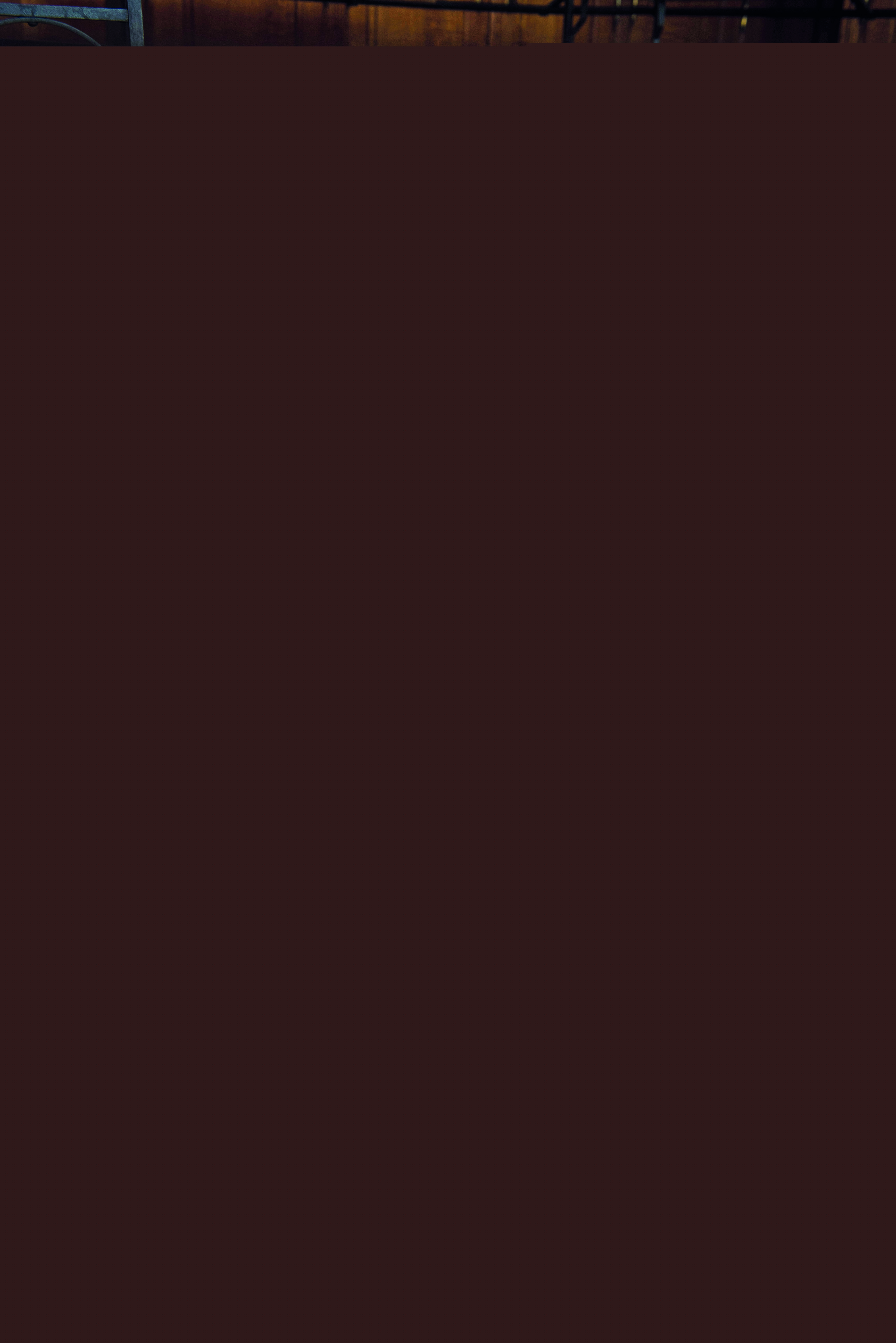 Blurred image background