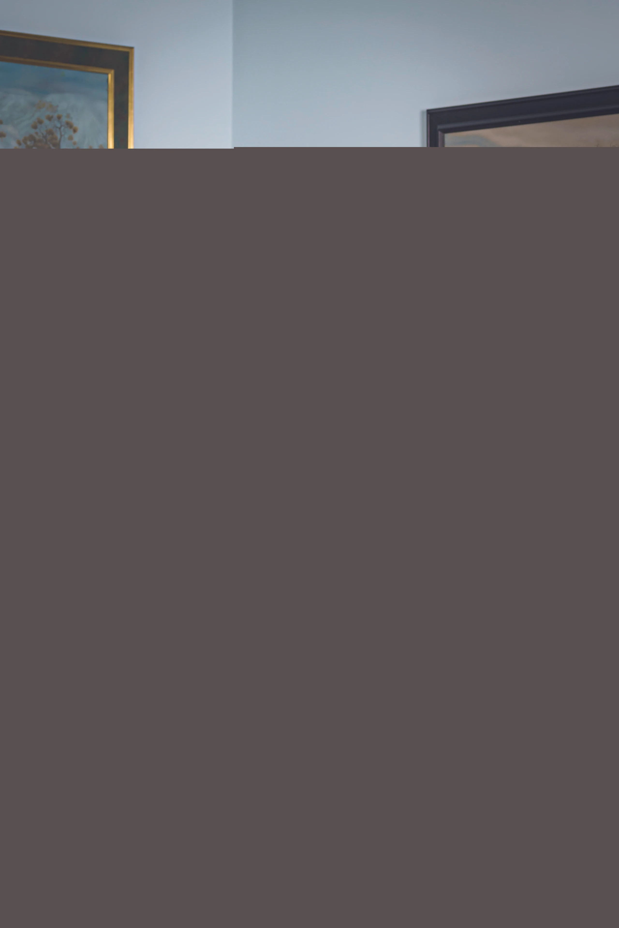 Blurred image background