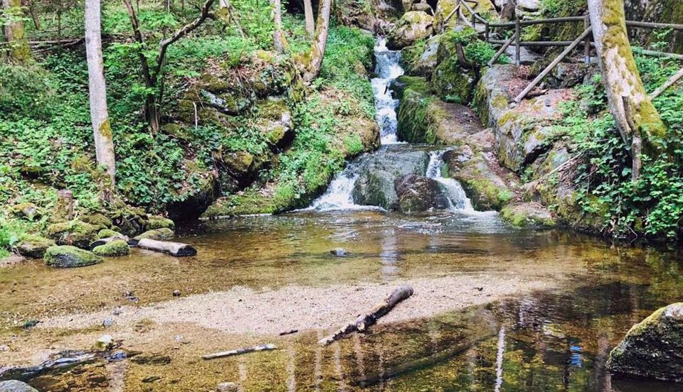 Die Ysperklamm bietet tolle Naturschauspiele mit Wasserfällen &amp; Kaskaden.