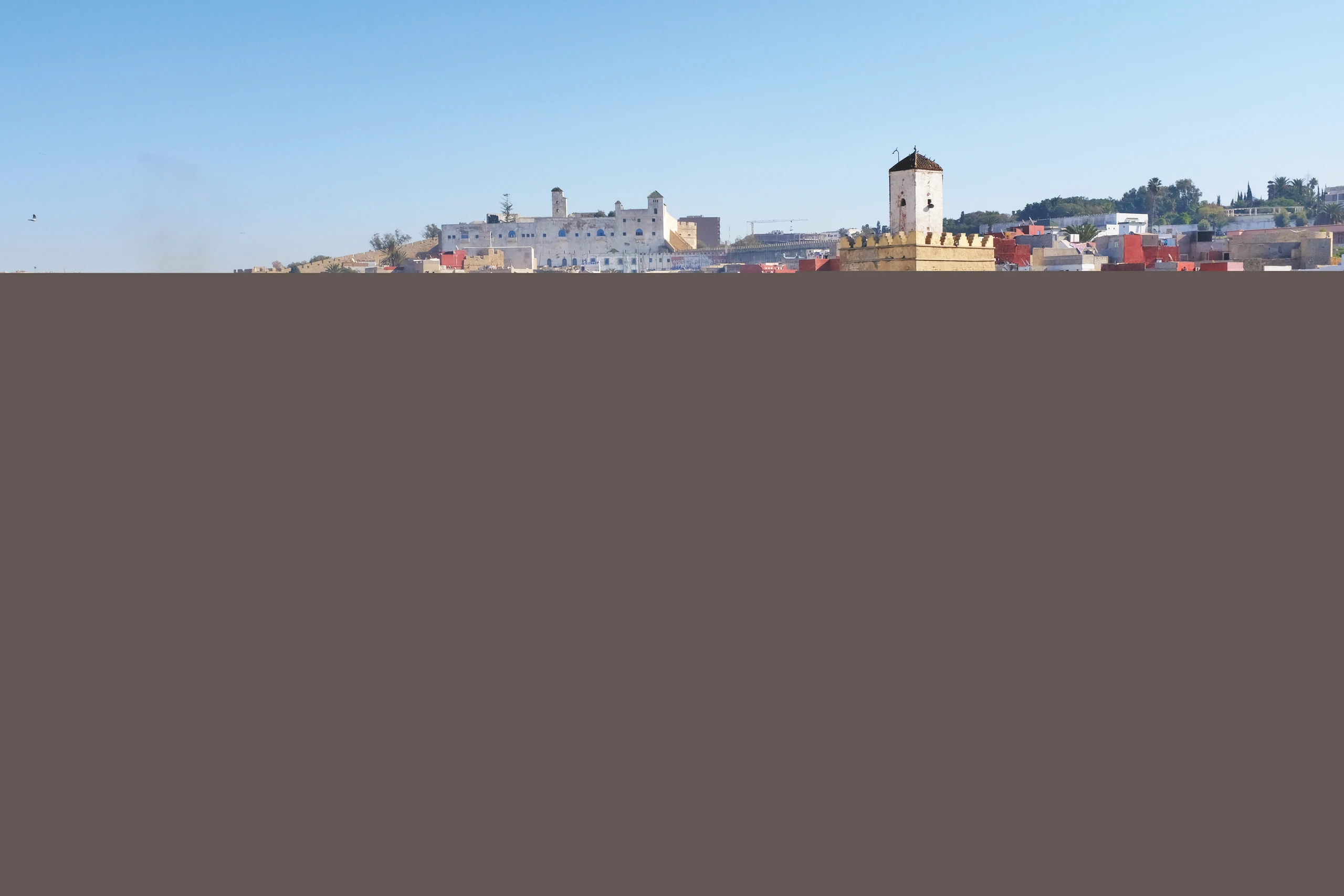 Blurred image background