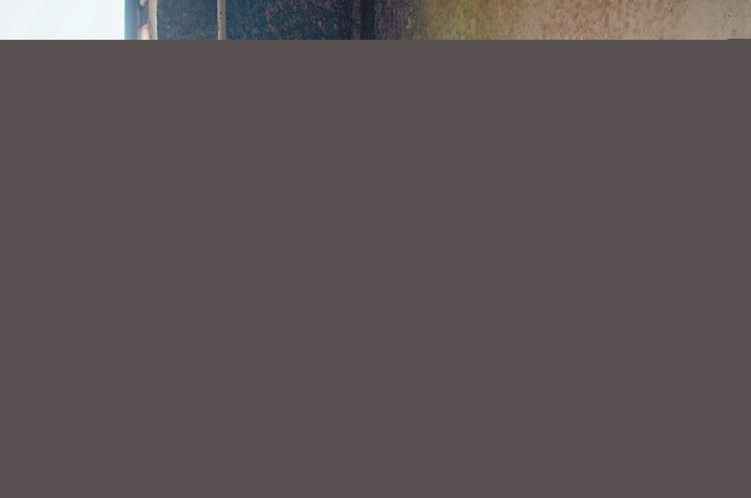 Blurred image background