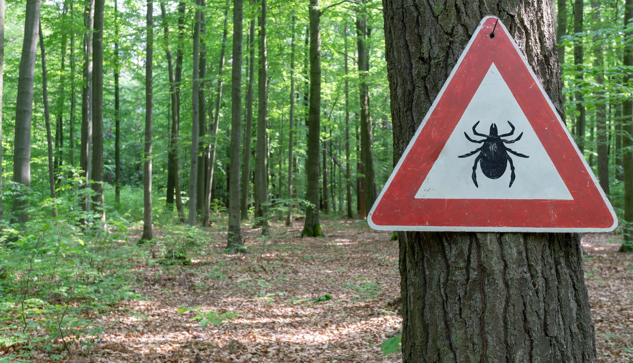 Zecken-Warnschild