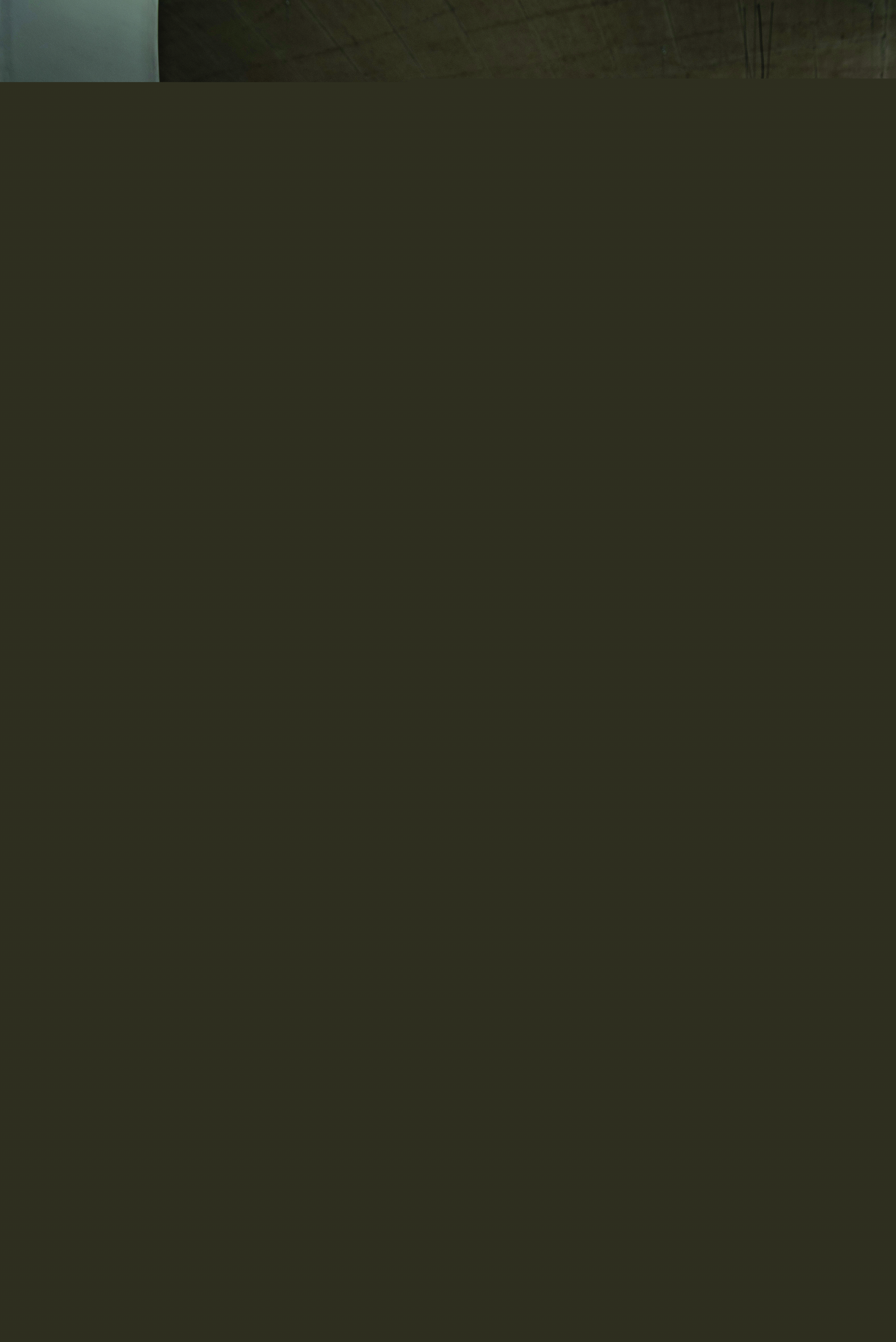 Blurred image background