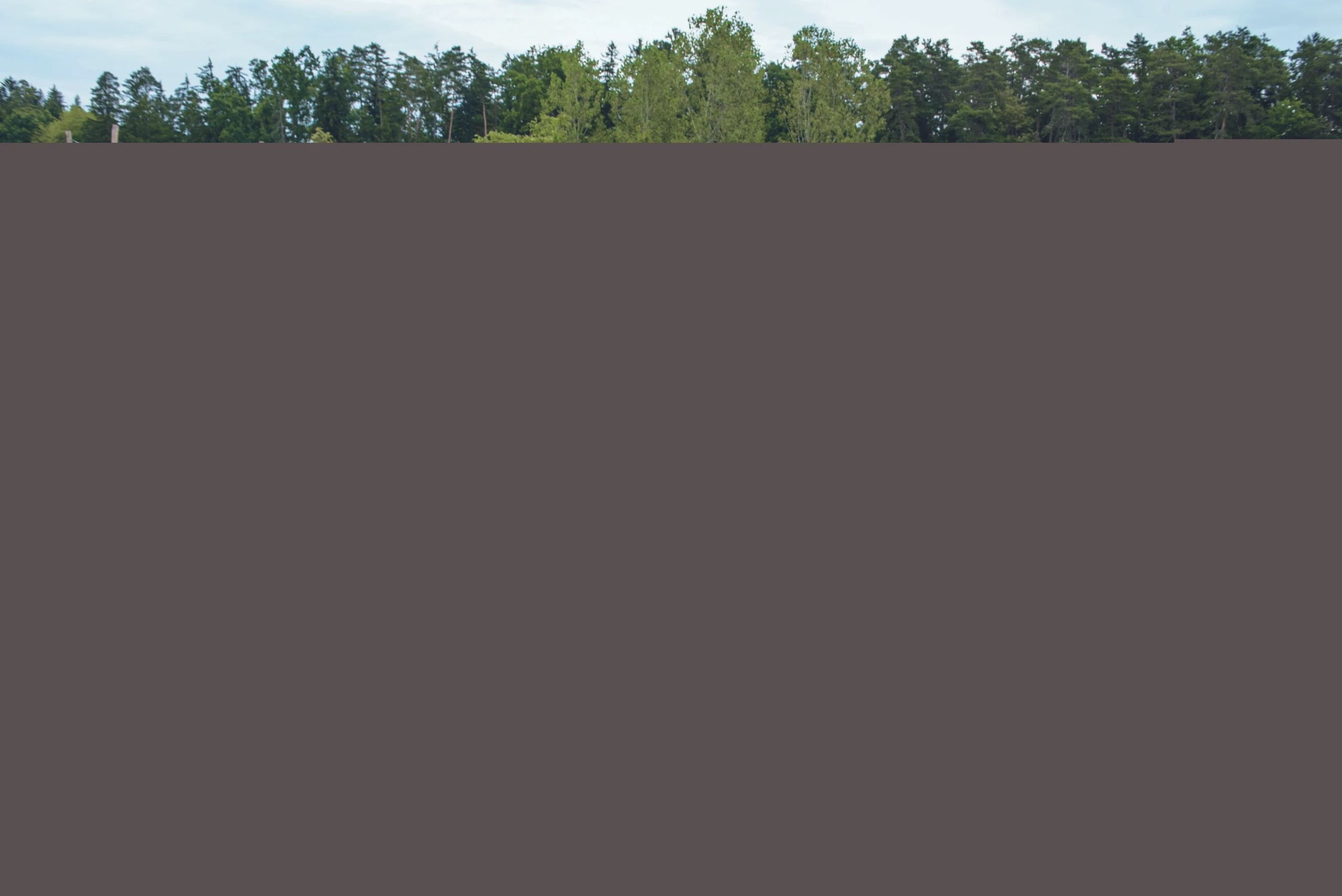 Blurred image background