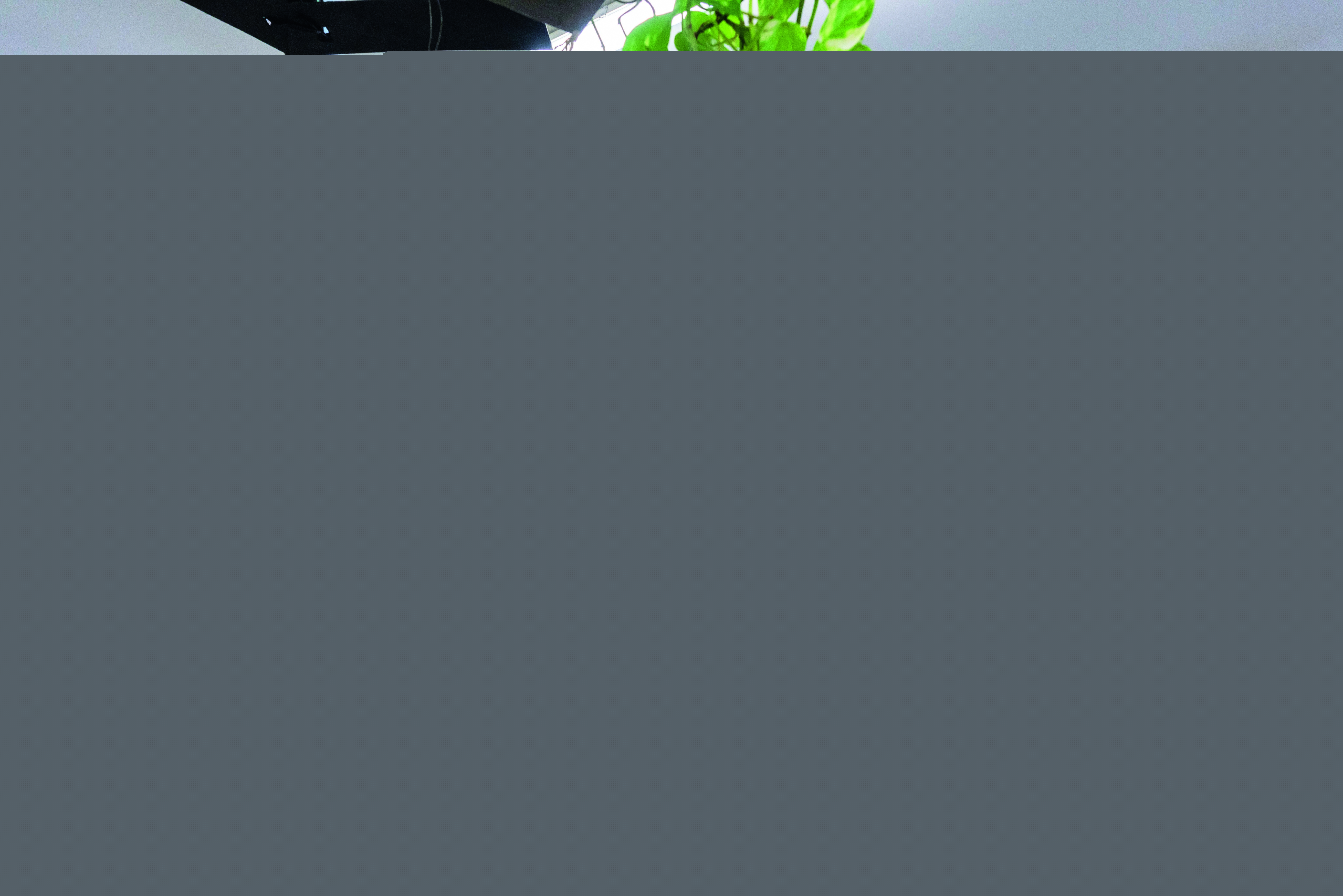 Blurred image background