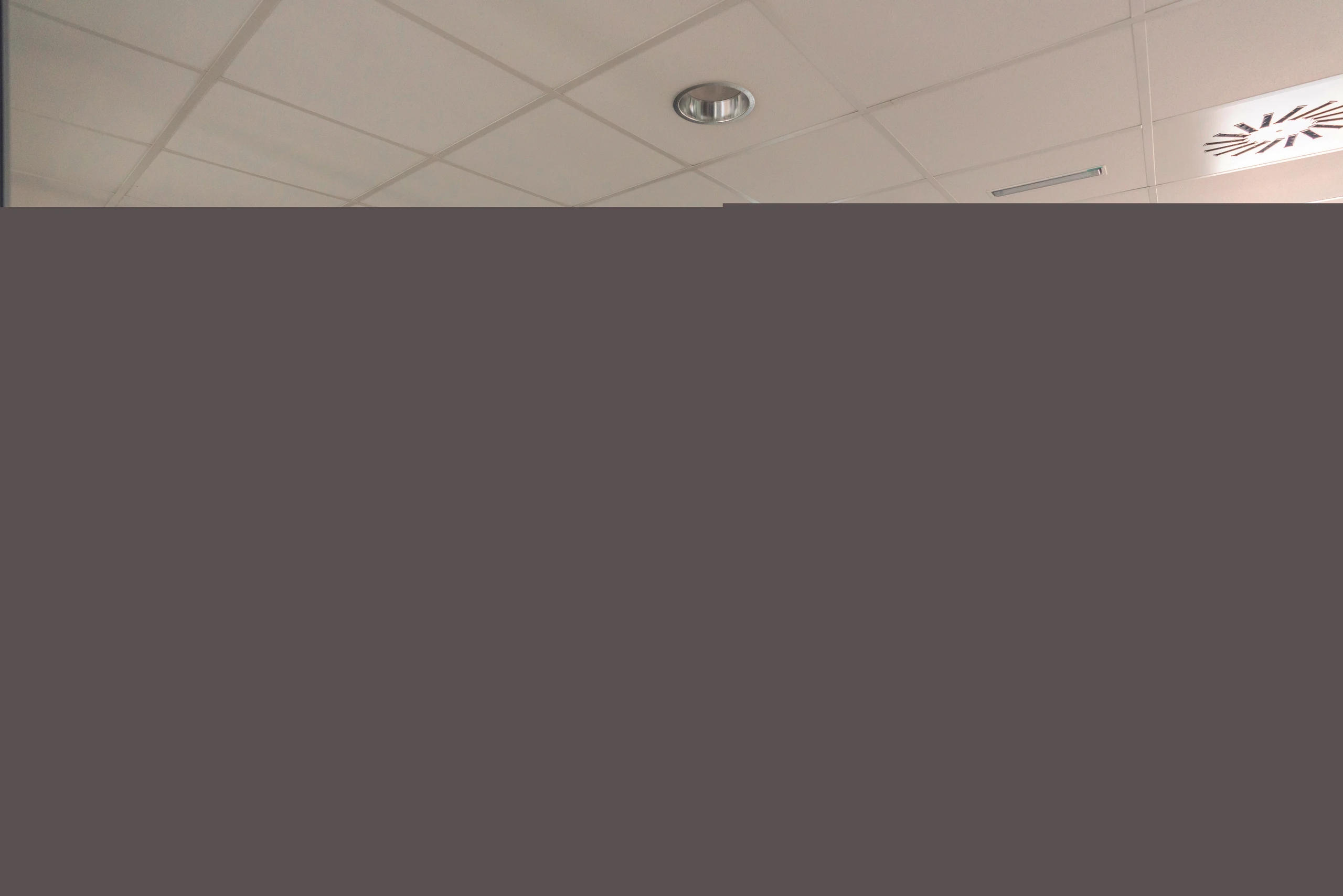 Blurred image background