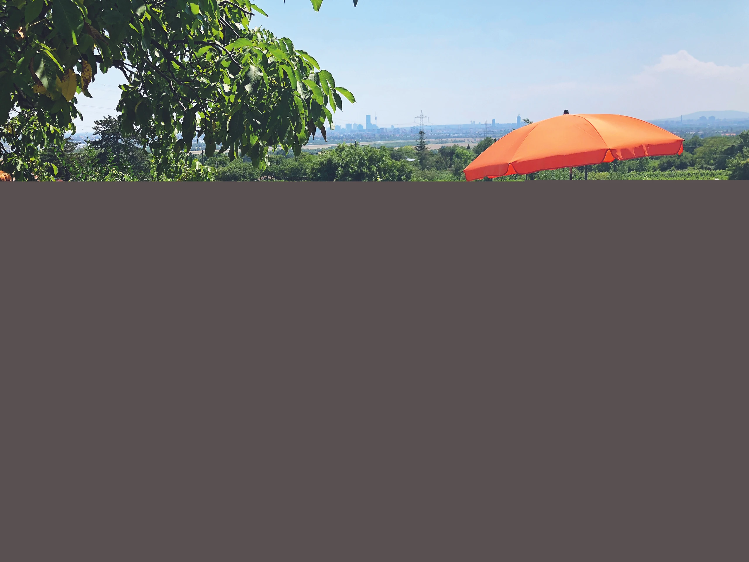 Blurred image background