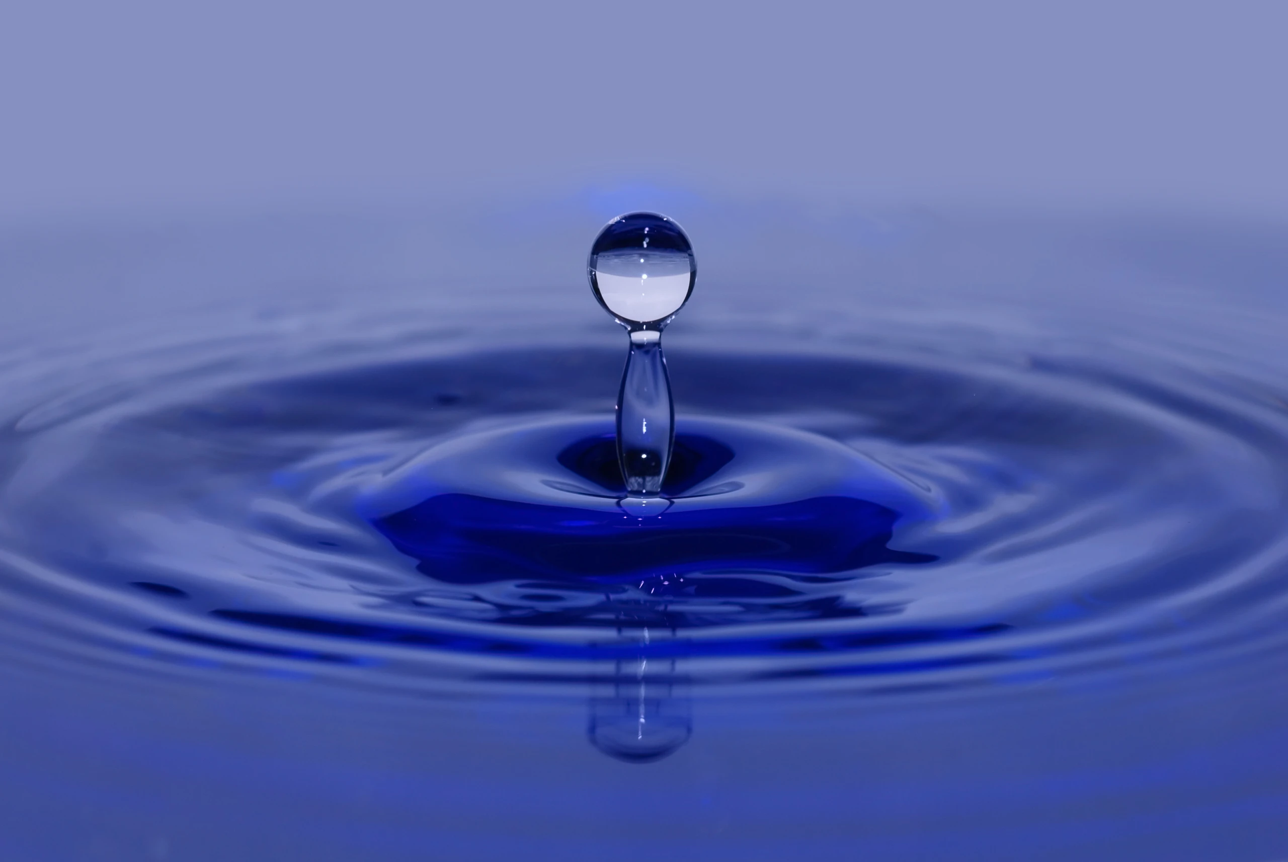 Blurred image background
