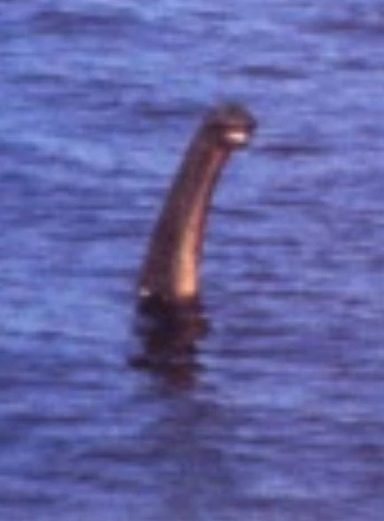 Blurred image background
