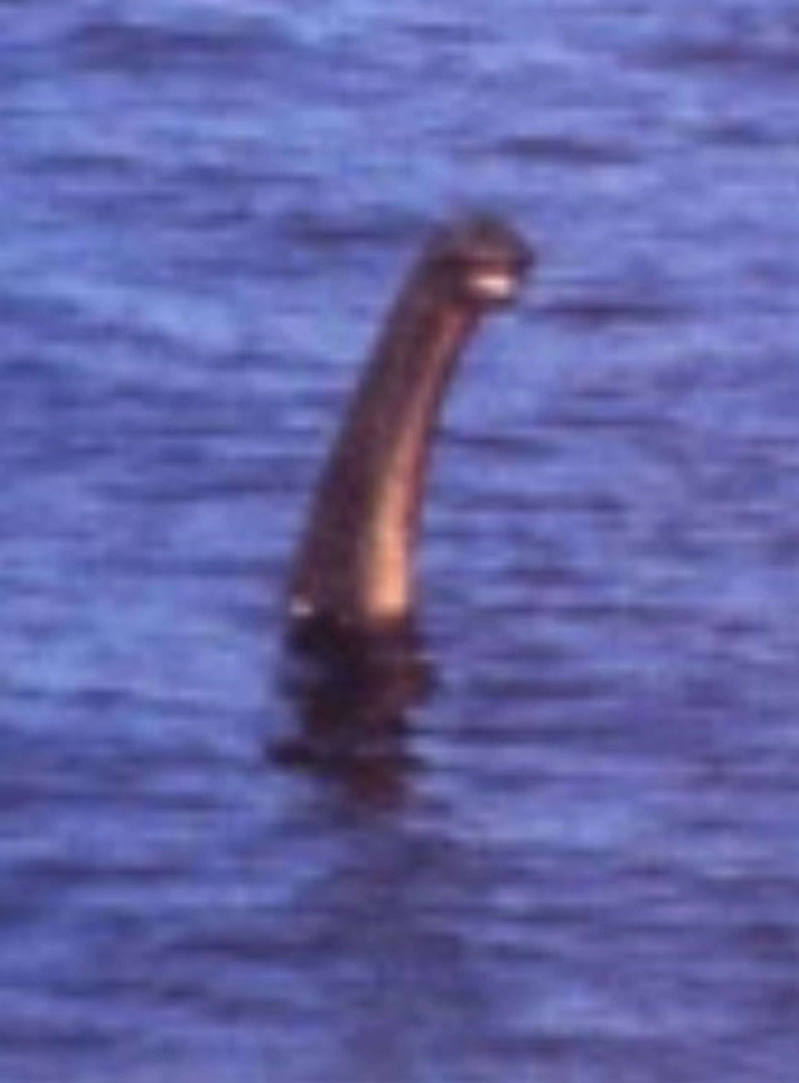 Blurred image background